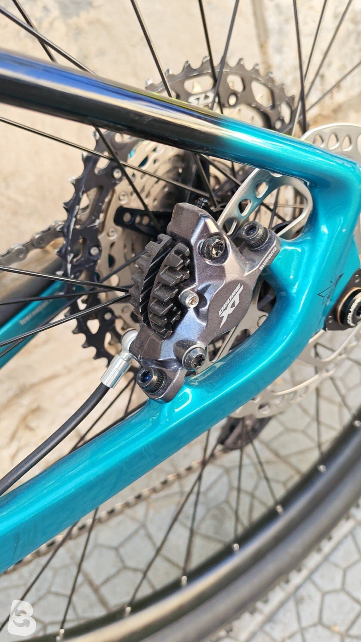 Lee Cougan Rampage 428 2022