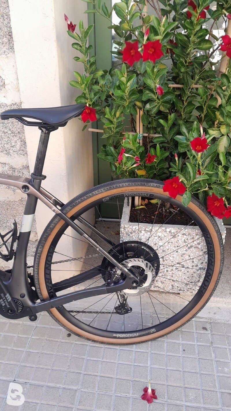 Trek Checkpoint Sl5+ 2026
