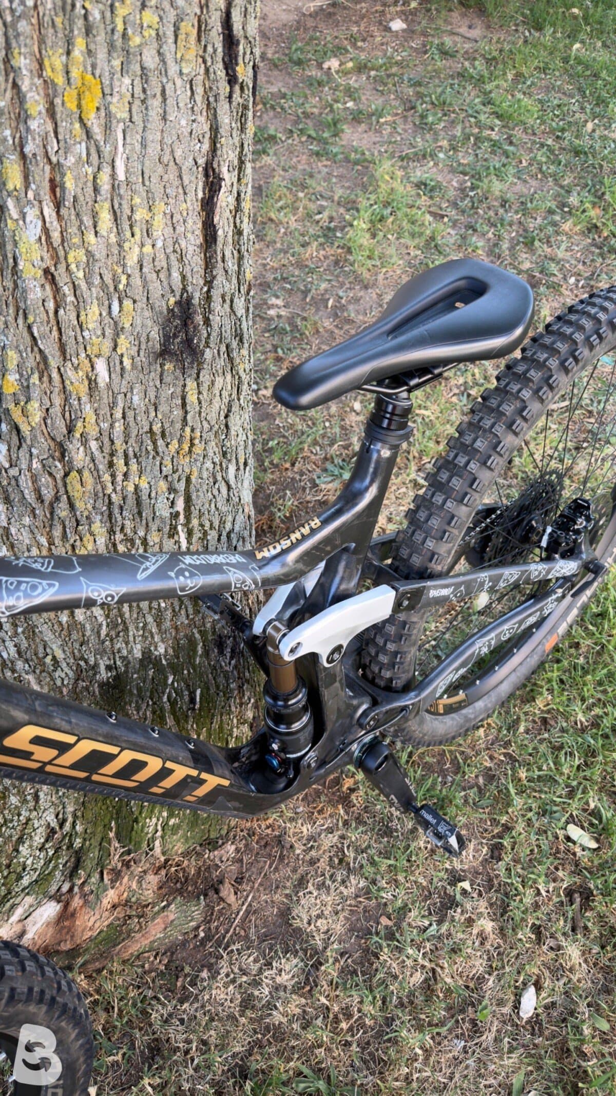 Scott Ransom 900 Tuned custom 2020
