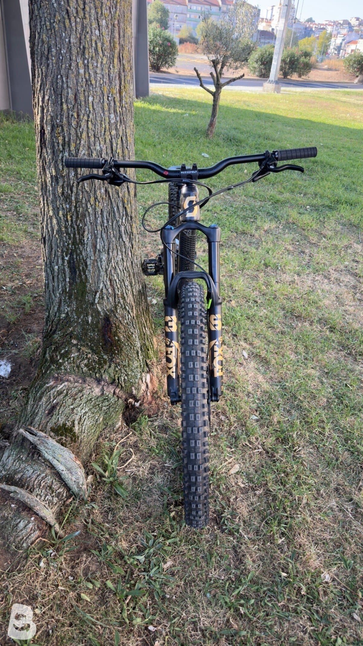 Scott Ransom 900 Tuned custom 2020