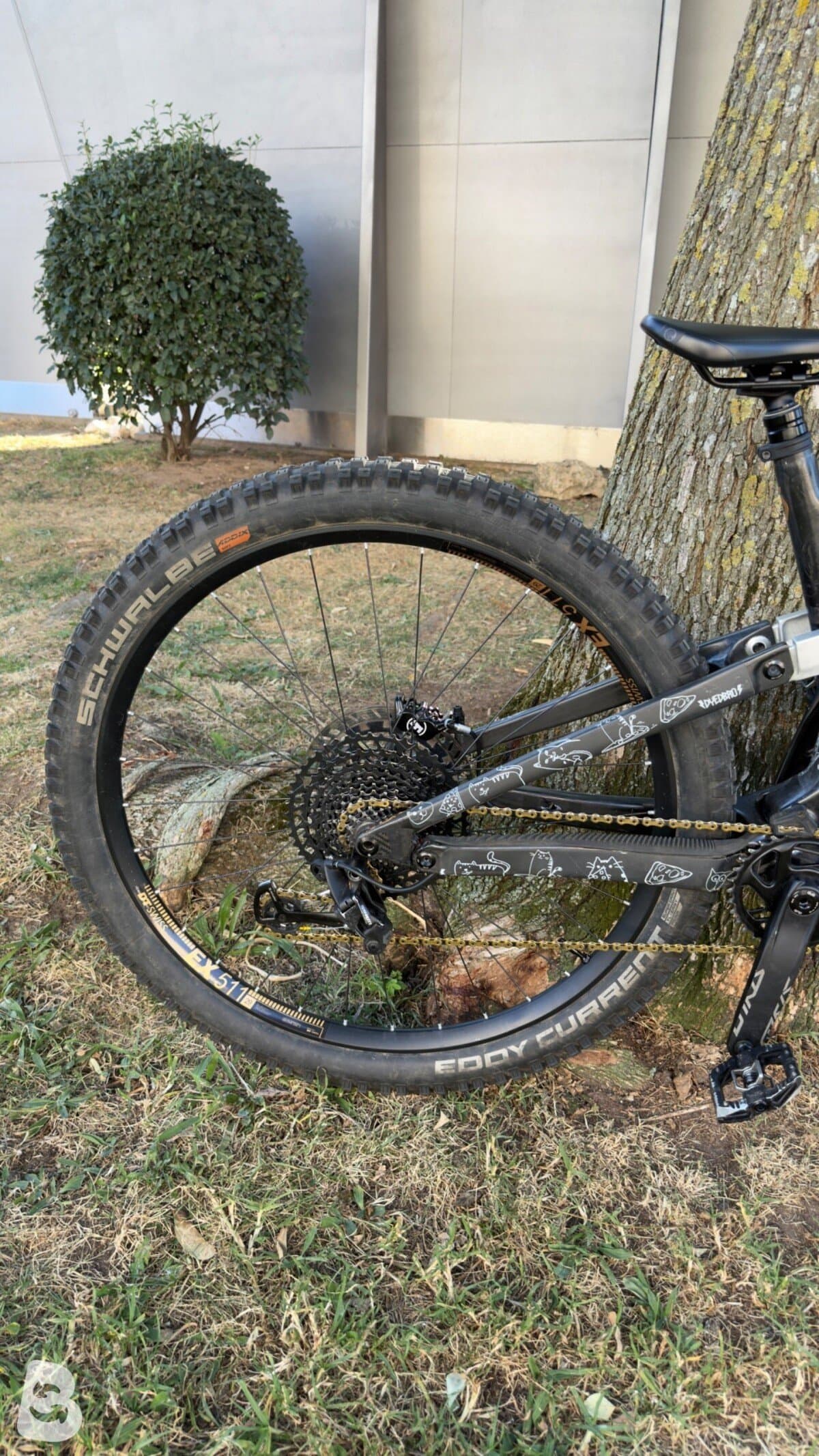 Scott Ransom 900 Tuned custom 2020