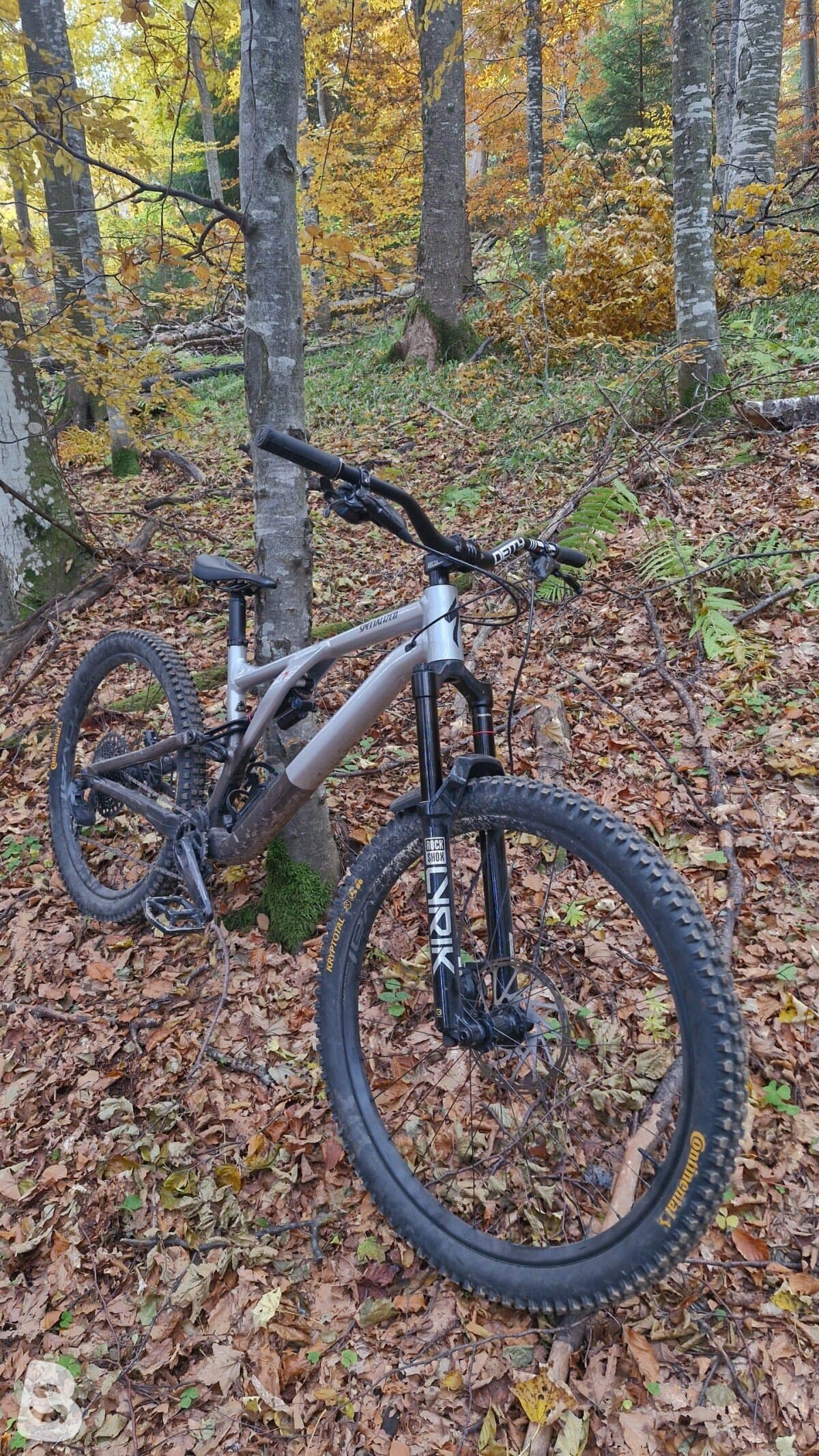Specialized Stumpjumper evo elite alloy S5 2023