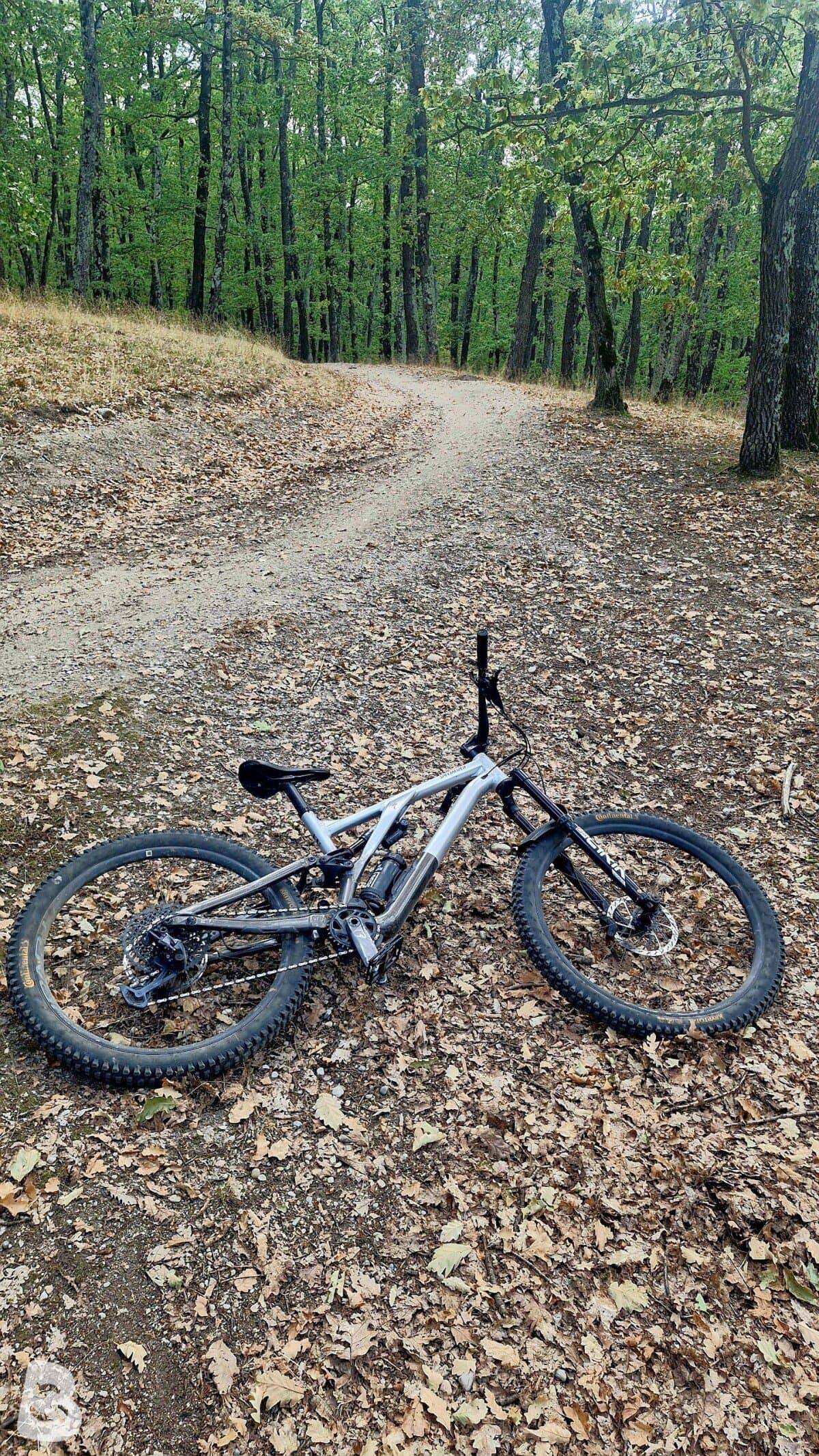 Specialized Stumpjumper evo elite alloy S5 2023