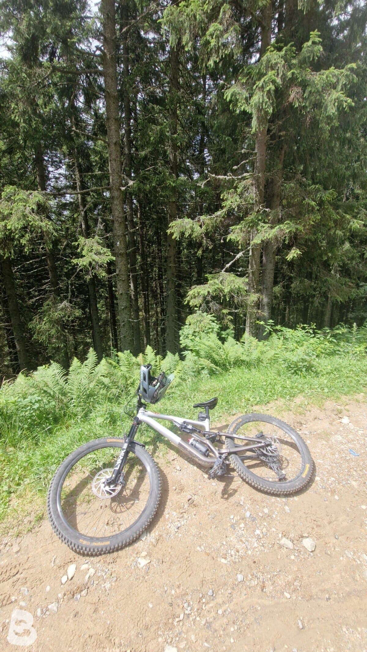Specialized Stumpjumper evo elite alloy S5 2023