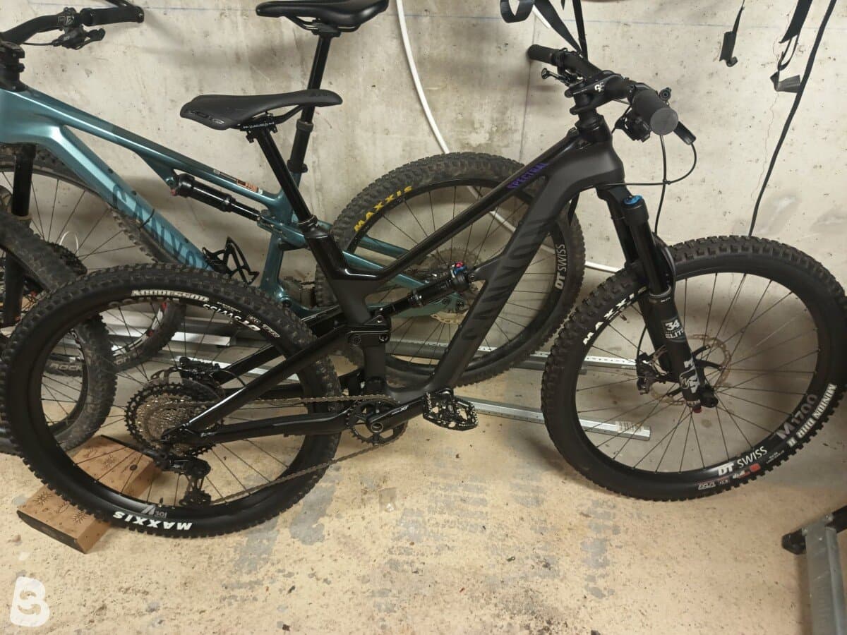 Canyon Spectral WMN CF 8.0 2020