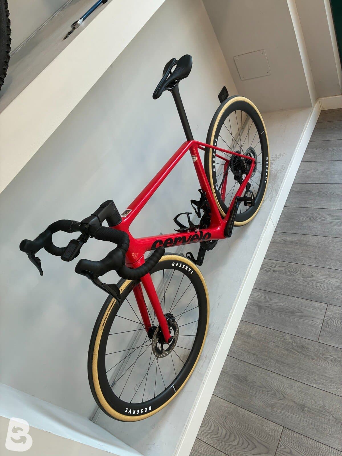 Cervelo R5 Tiger Eye 2025