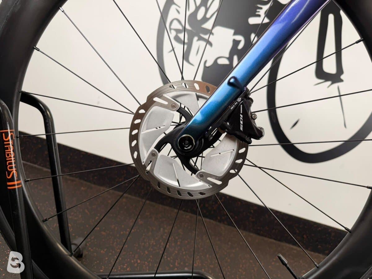 Moser Francesco 2025