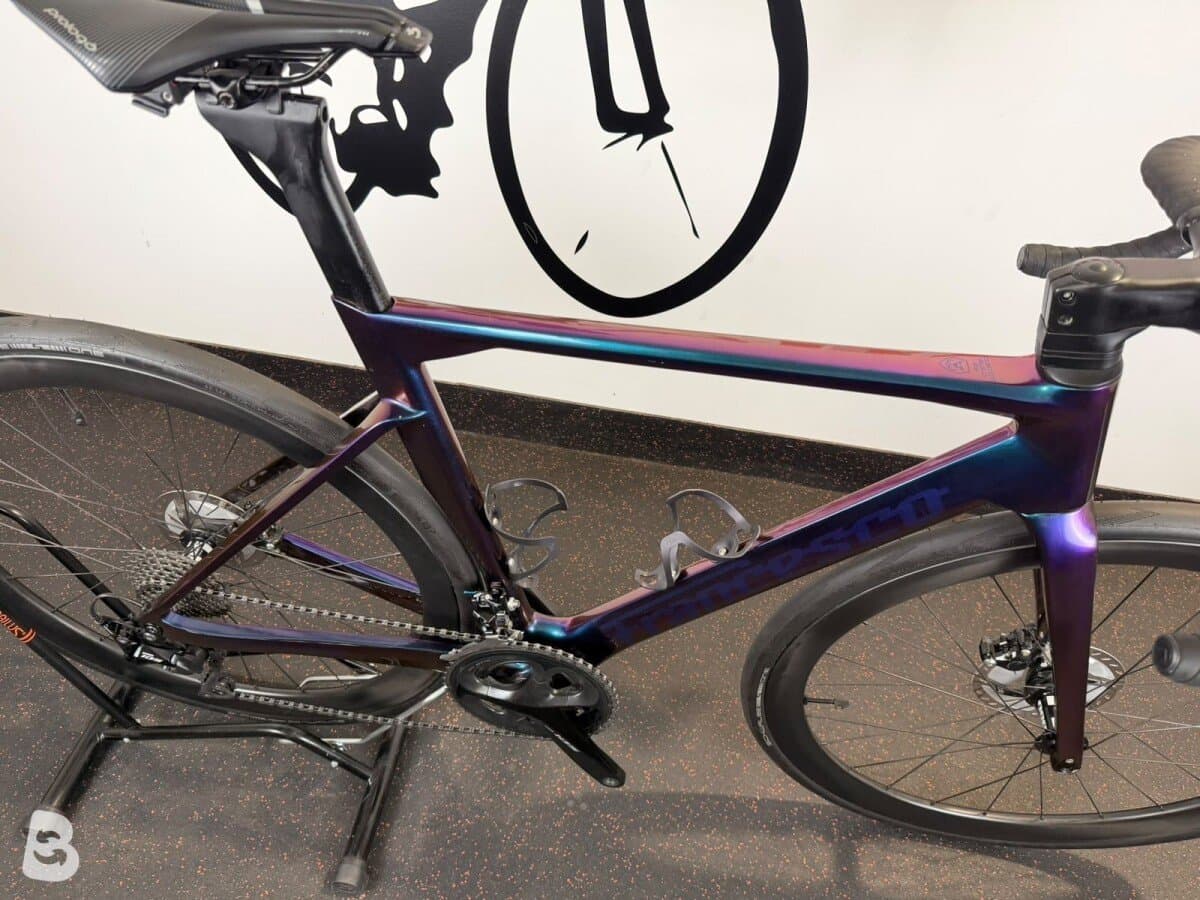 Moser Francesco 2025