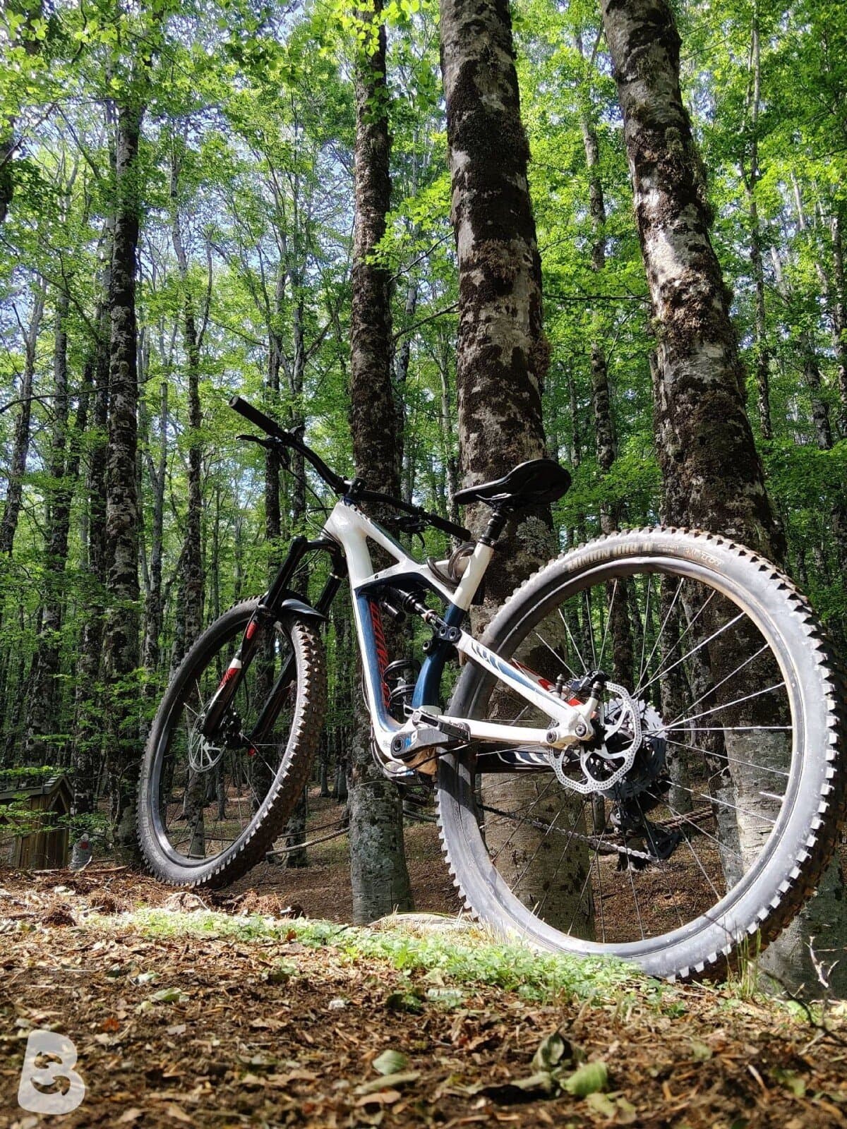Specialized Enduro Expert Carbon 29 2016