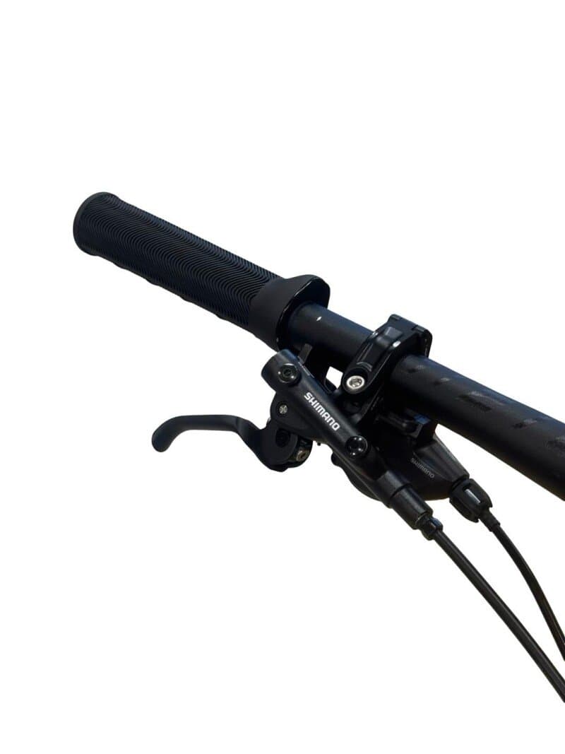 Giant Trance X Advanced E+ 1 Carbon Shimano XT 2022