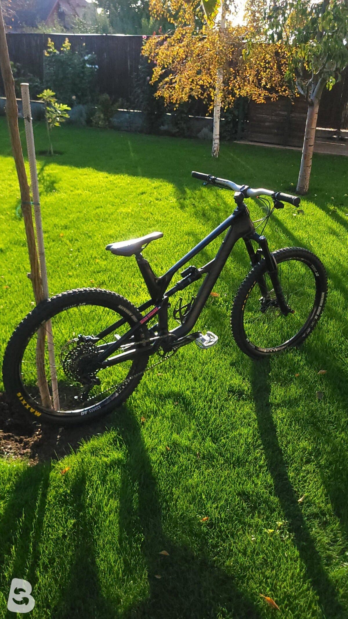 Canyon Spectral CF 8.0 2020