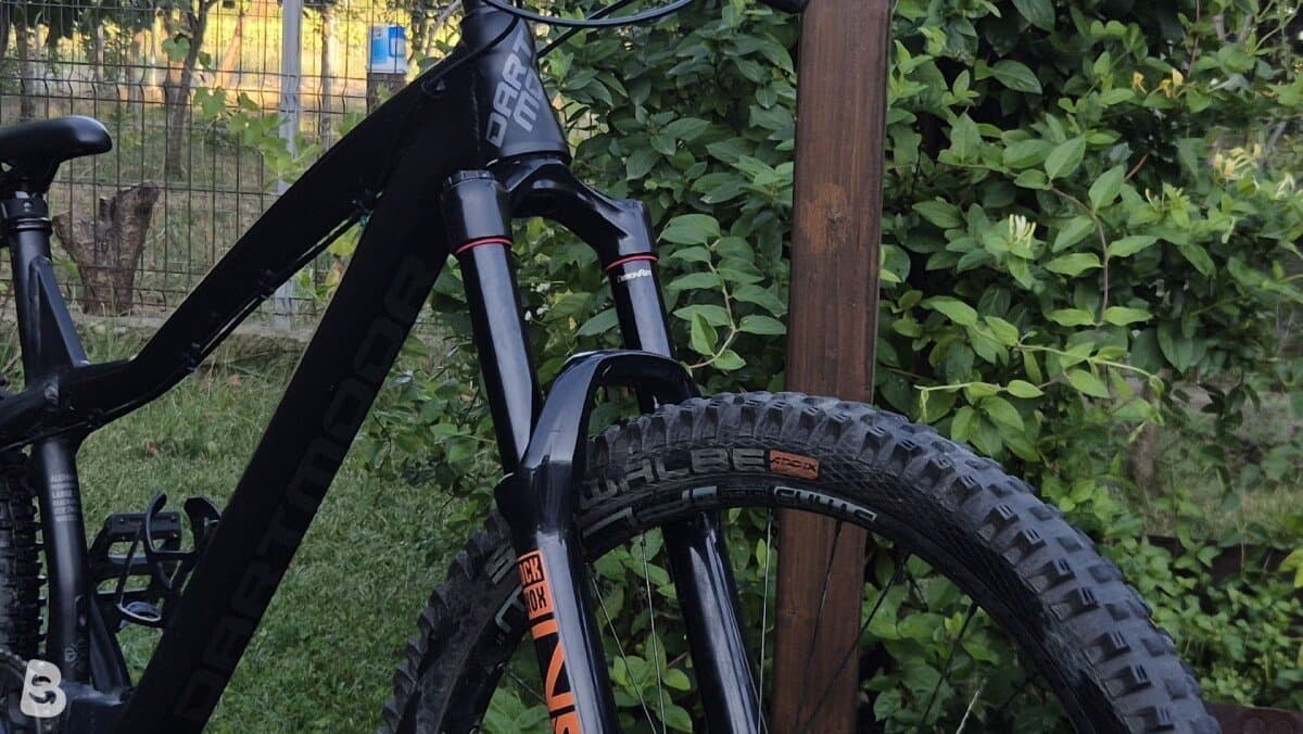 Dartmoor Hornet Pro 2022