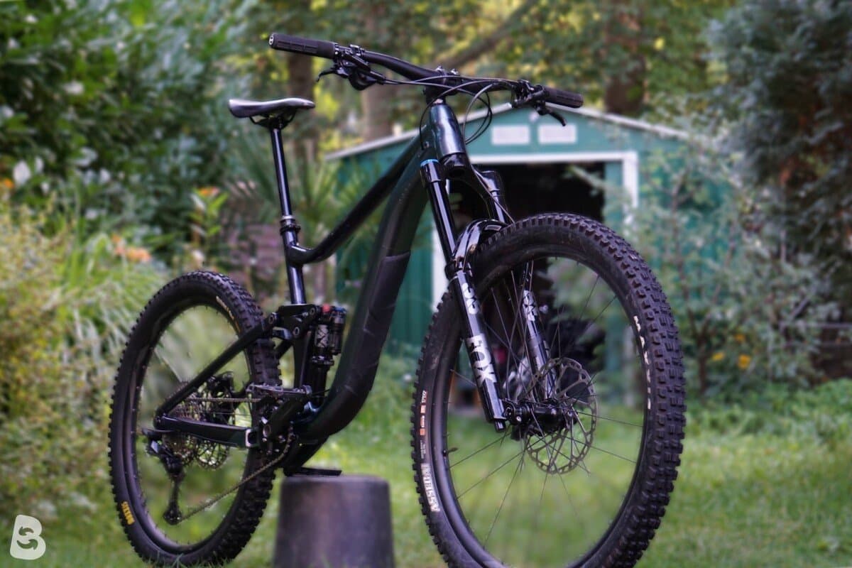 Giant Reign 1 2024
