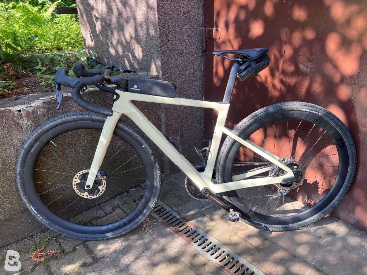 Rose Backroad ff 2025