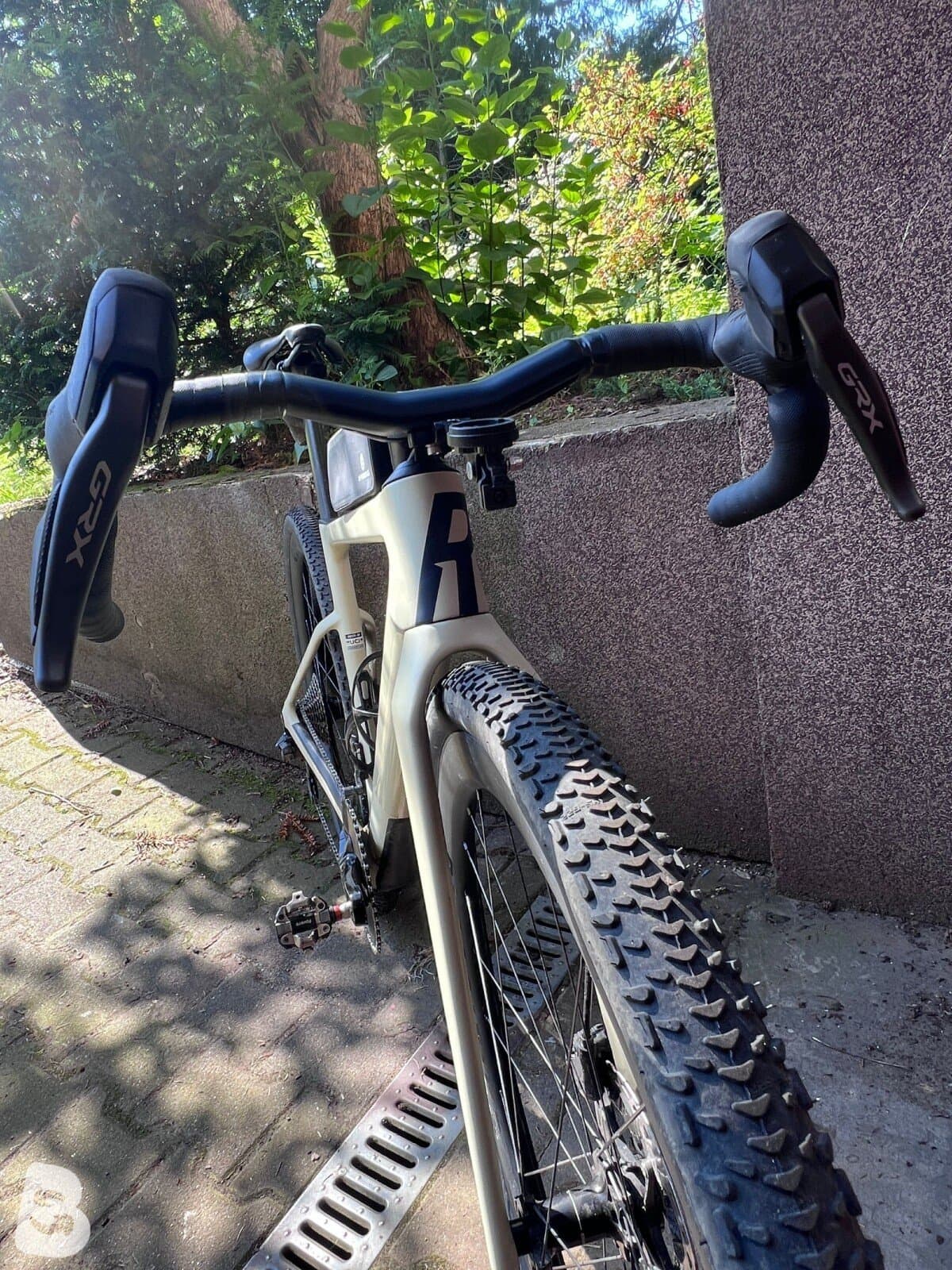 Rose Backroad ff 2025
