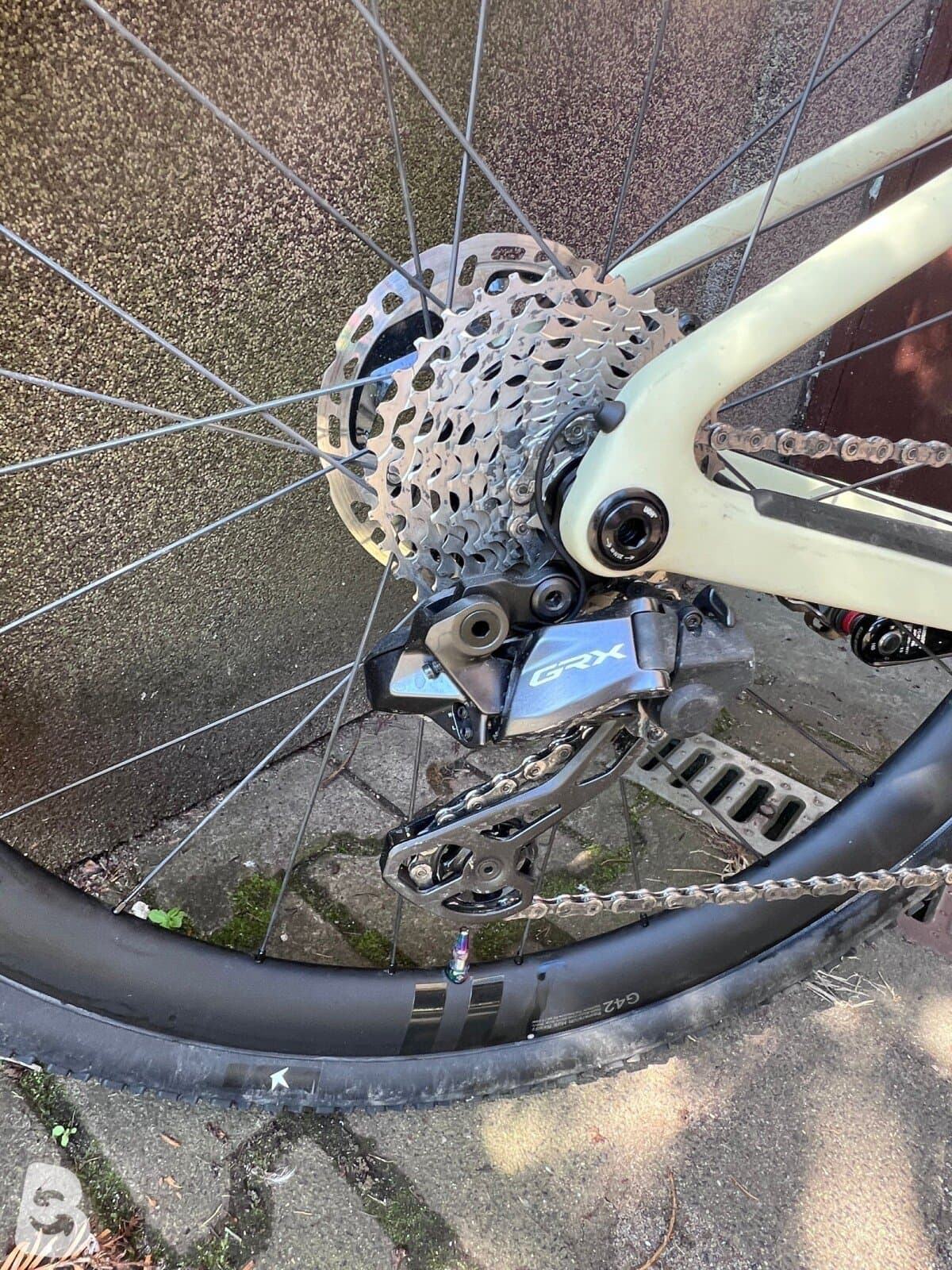 Rose Backroad ff 2025