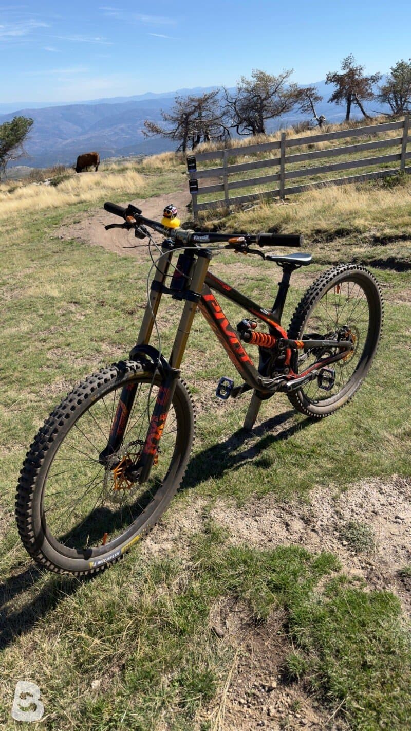 Pivot Phoenix 29 Pro Saint 2024