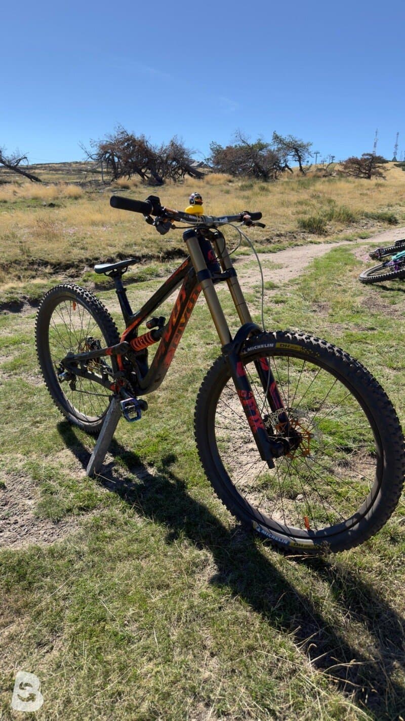 Pivot Phoenix 29 Pro Saint 2024
