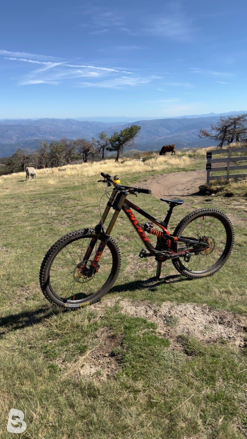 Pivot Phoenix 29 Pro Saint 2024
