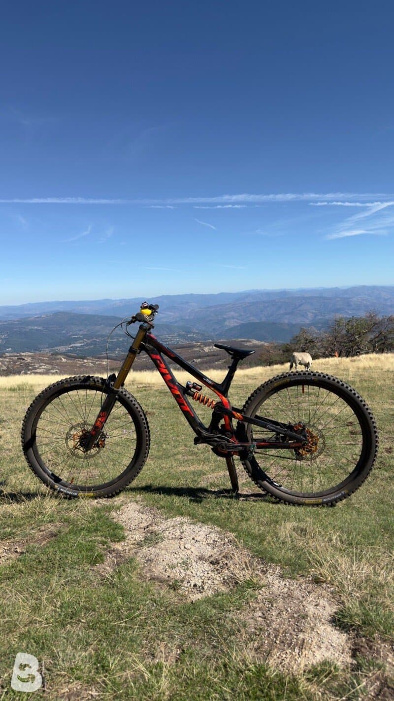 Pivot Phoenix 29 Pro Saint 2024