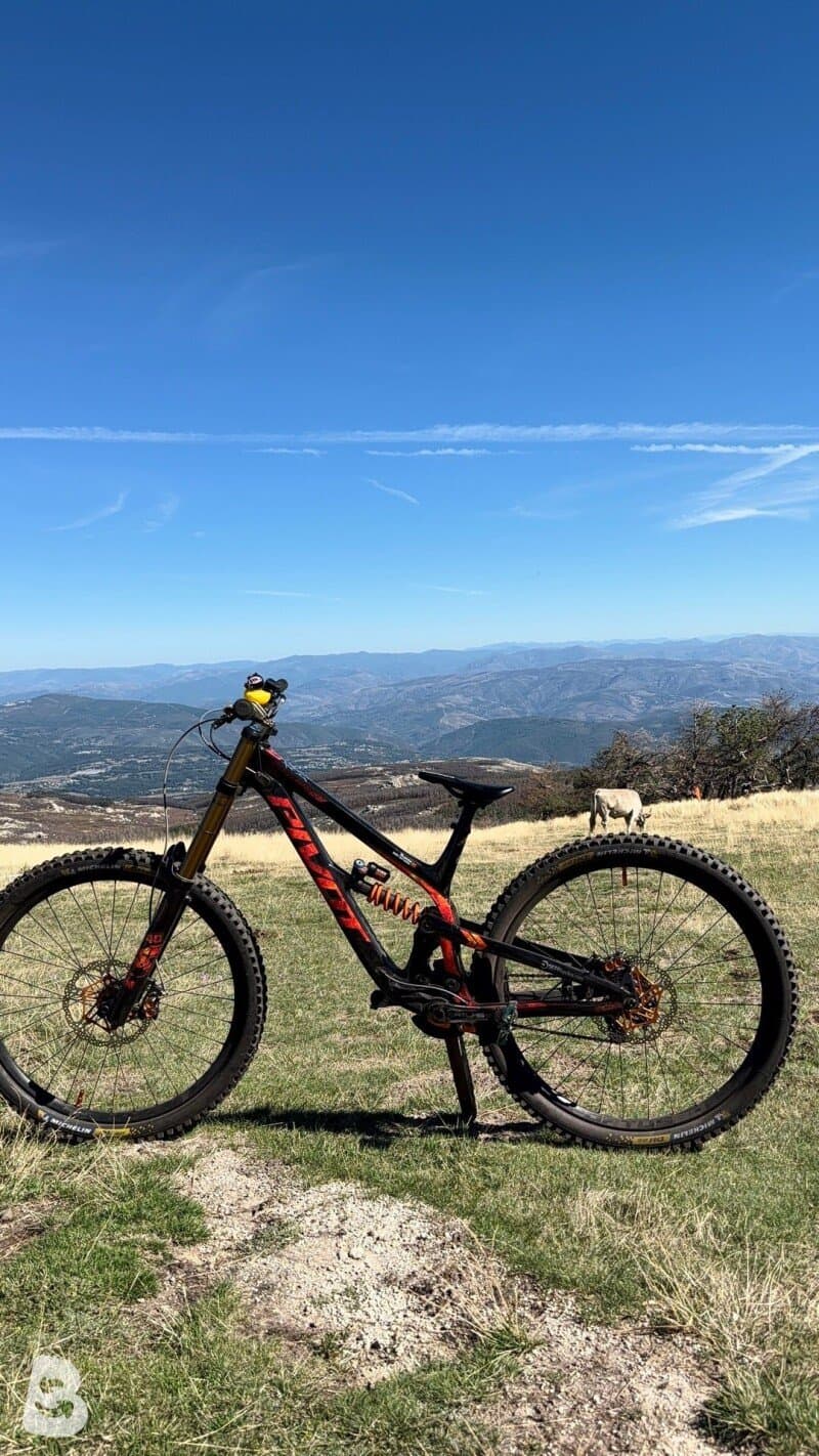 Pivot Phoenix 29 Pro Saint 2024