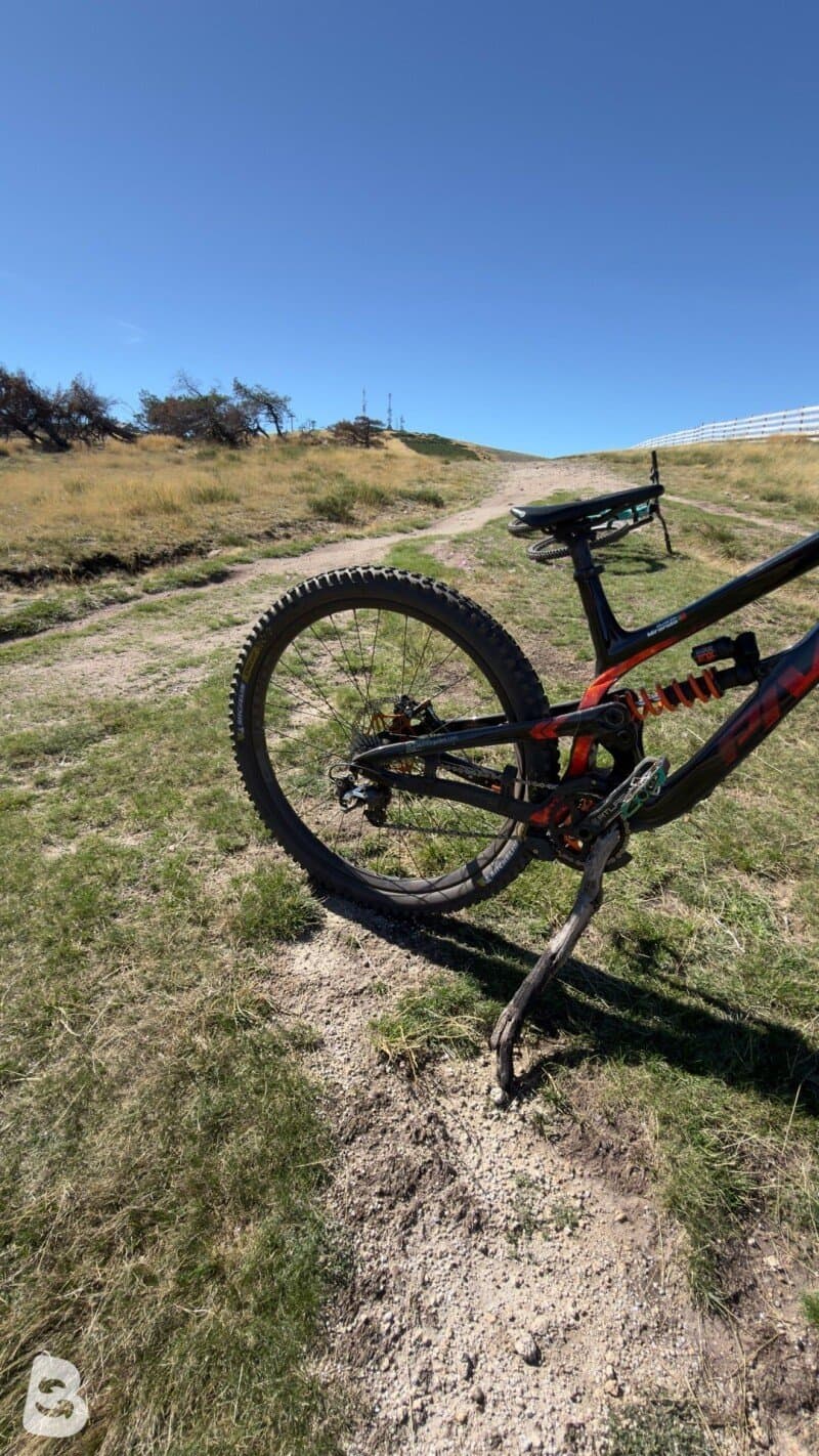 Pivot Phoenix 29 Pro Saint 2024