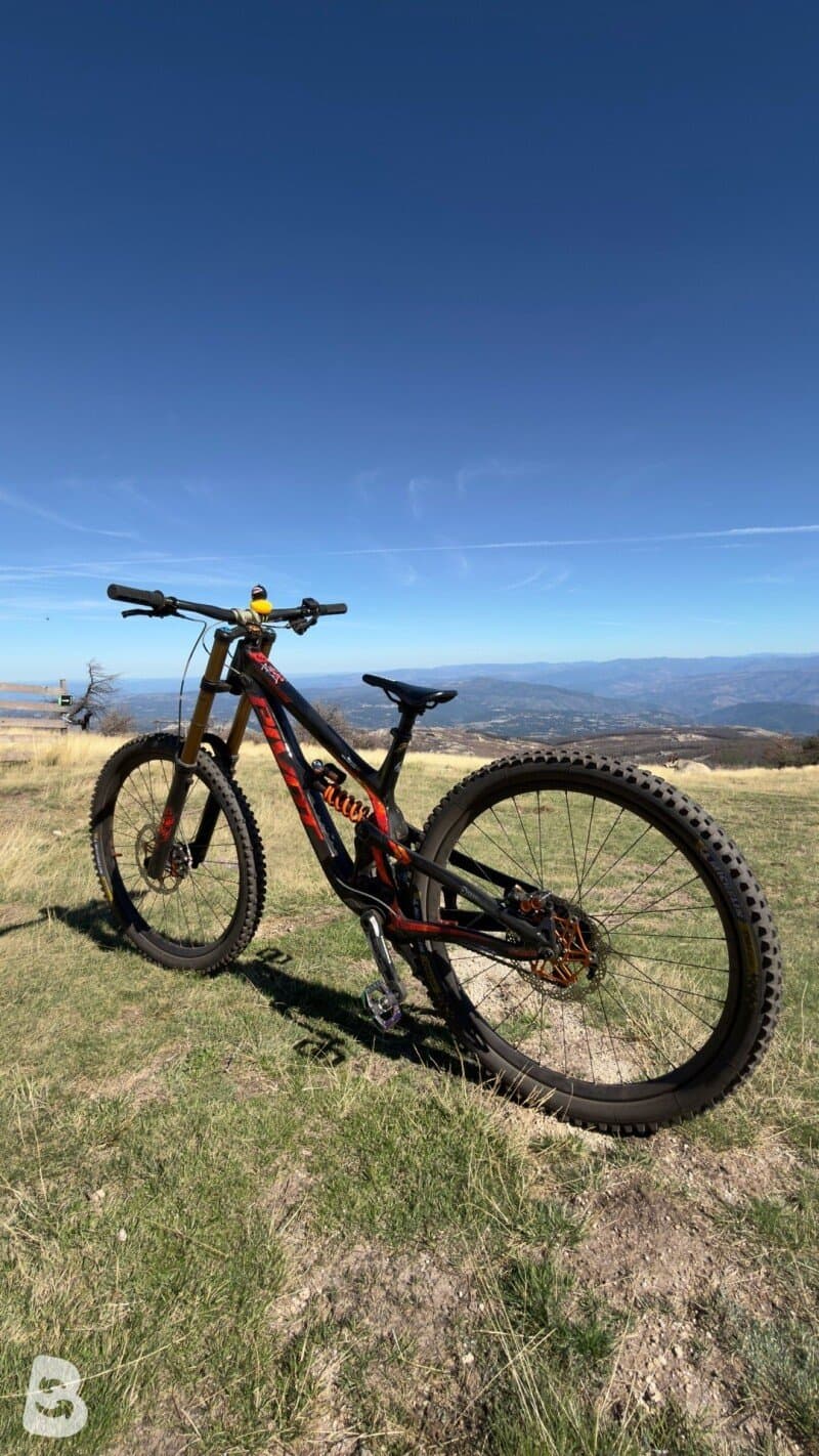 Pivot Phoenix 29 Pro Saint 2024