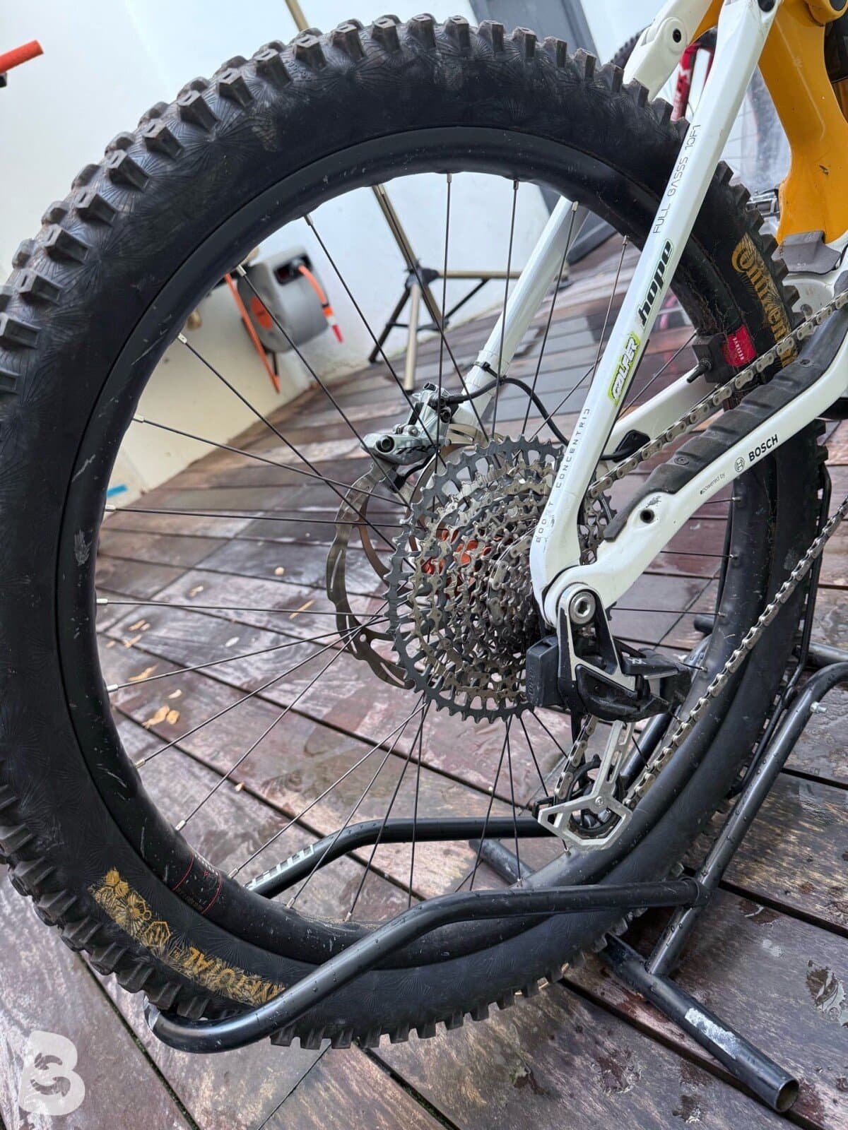 Orbea Wild M Team 2025
