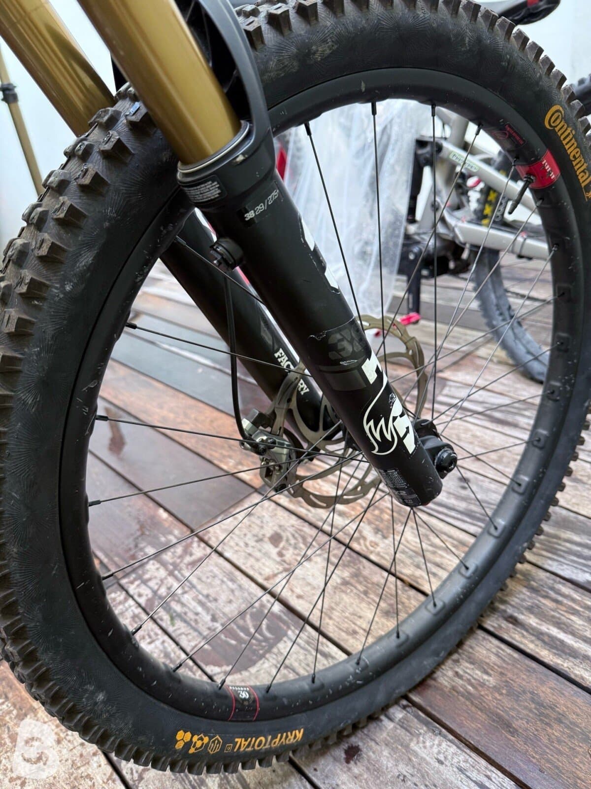 Orbea Wild M Team 2025