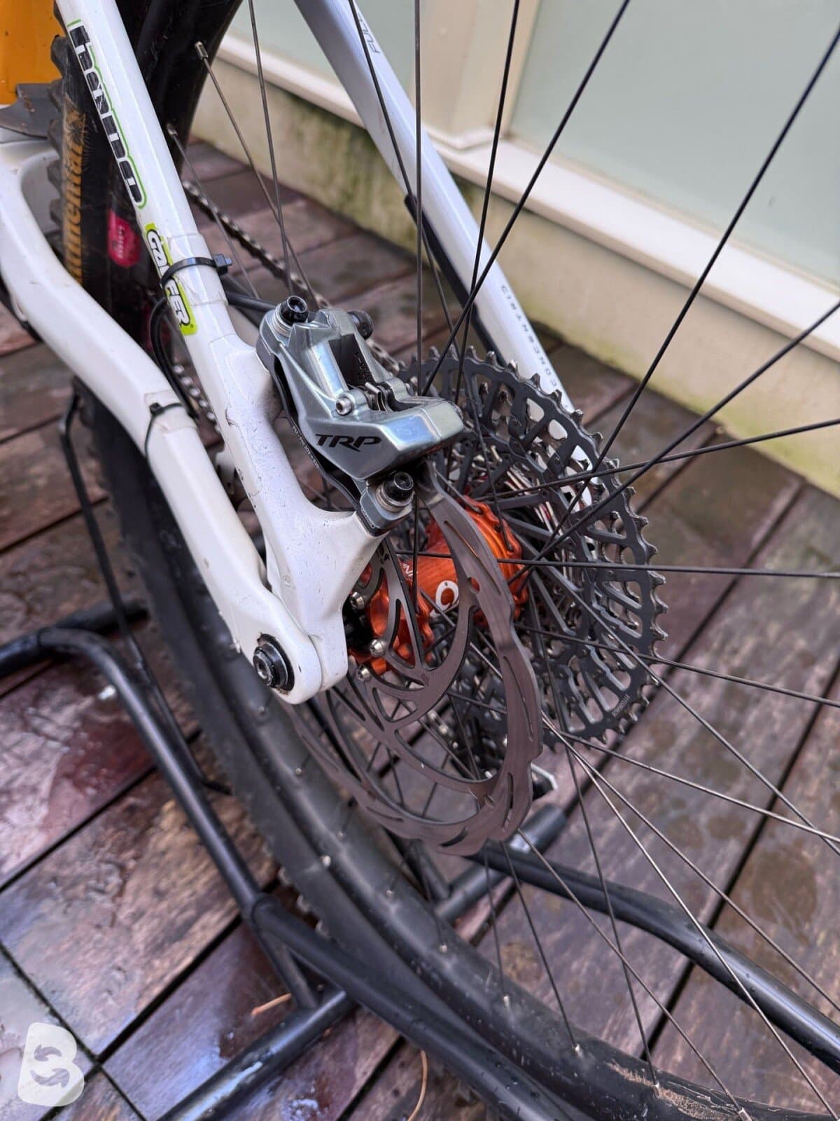 Orbea Wild M Team 2025