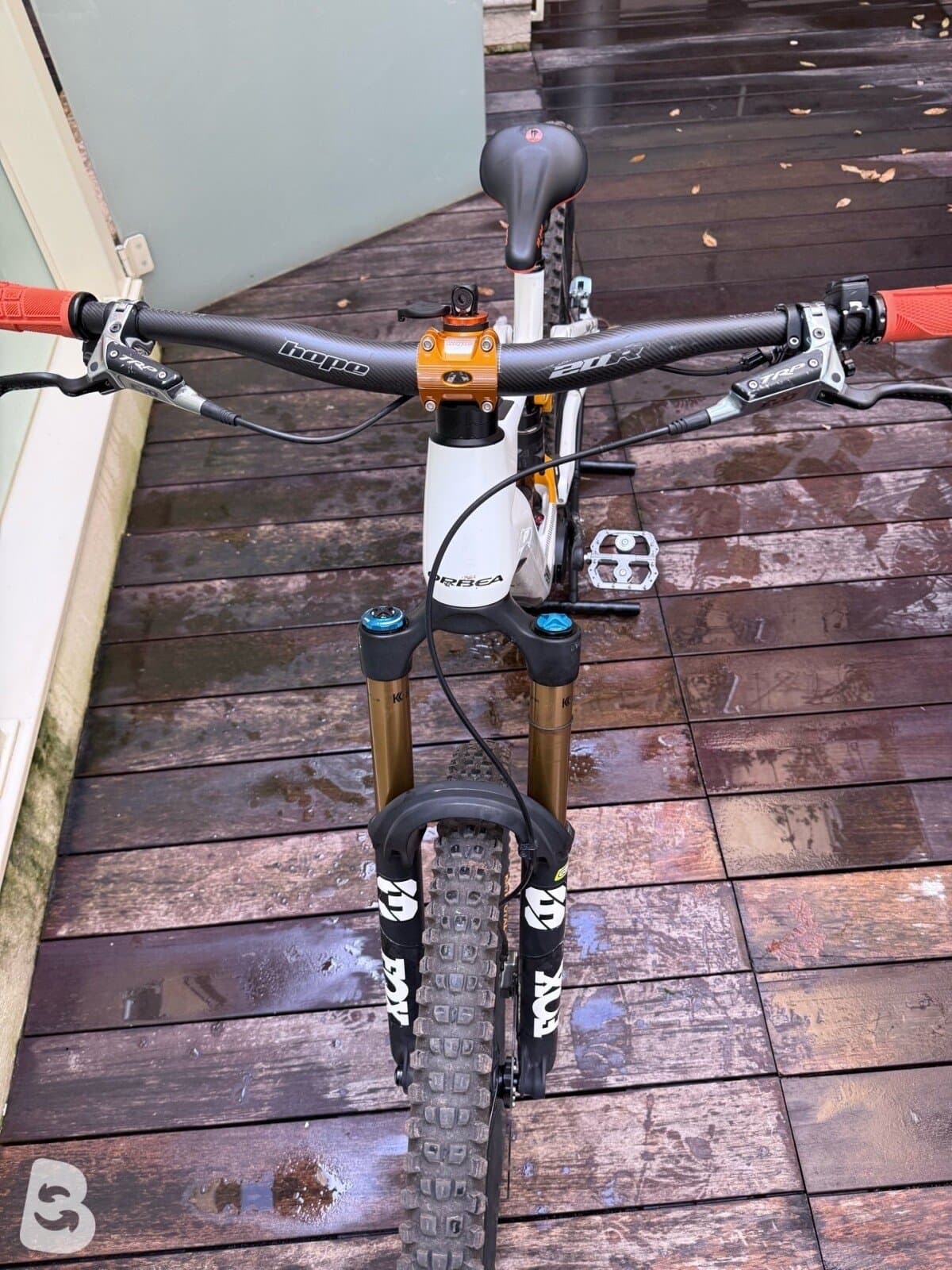 Orbea Wild M Team 2025