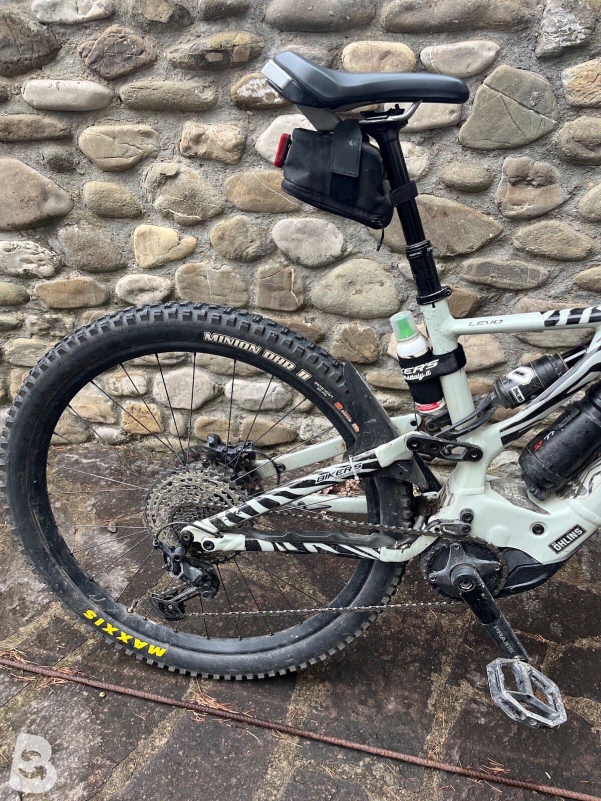 Specialized Turbo Levo 2021