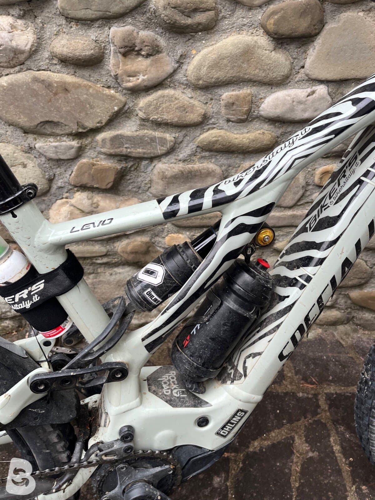 Specialized Turbo Levo 2021