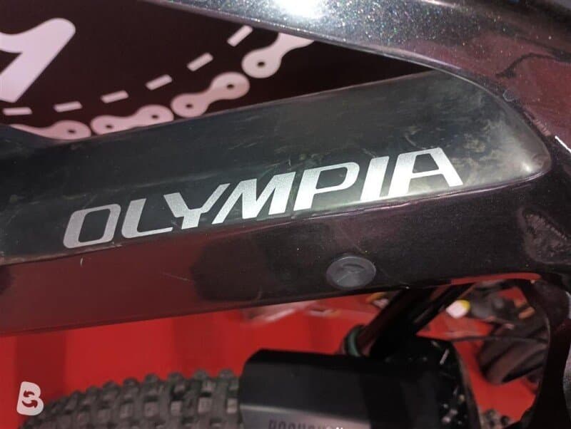 Olympia MURDORK 2024