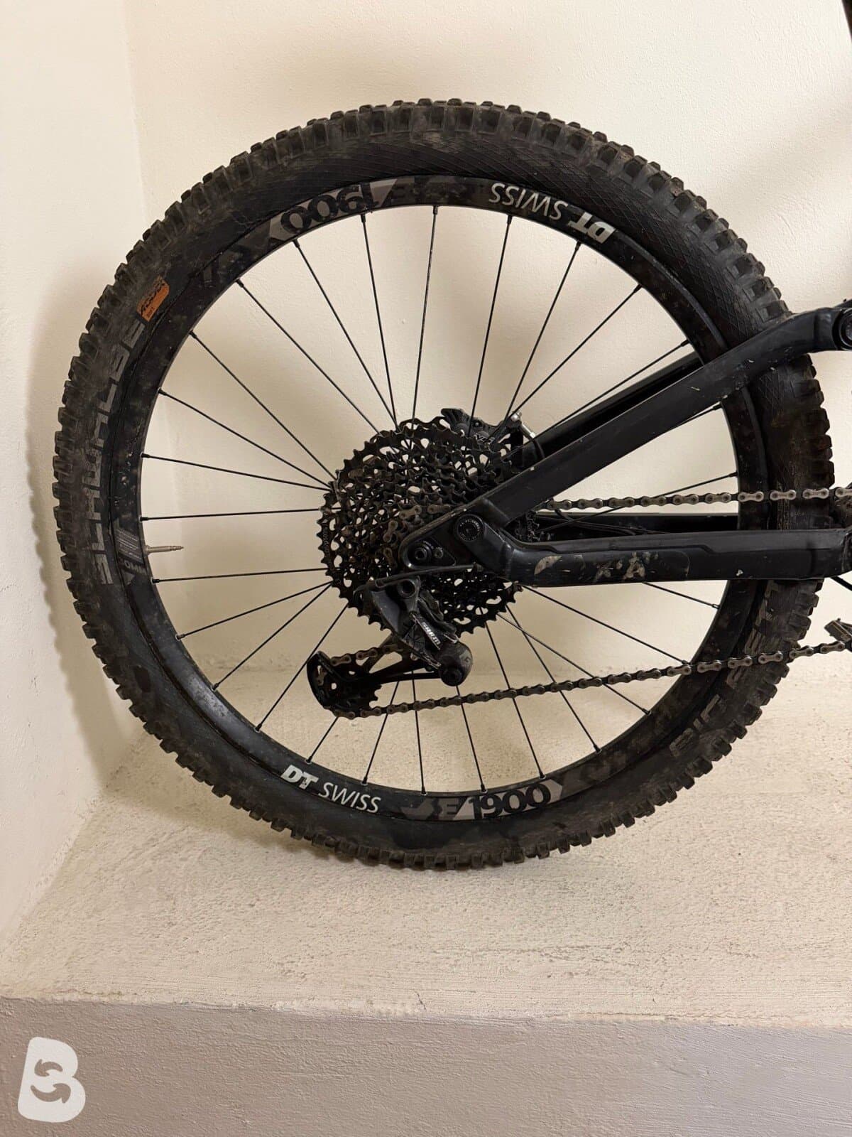 Canyon Torque CF 7.0 2019