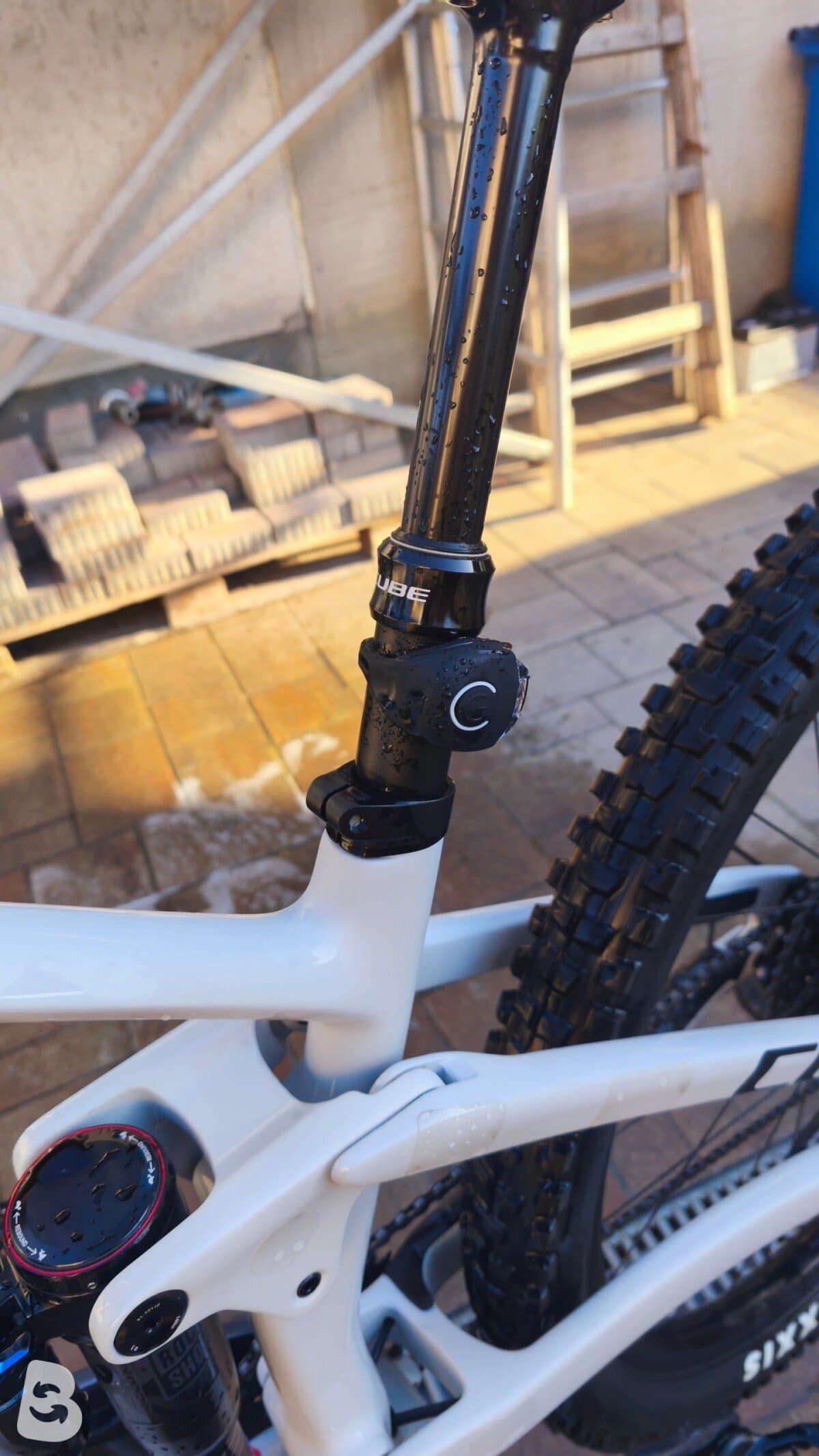 Cube STEREO ONE55 C:62, RACE 29 2023