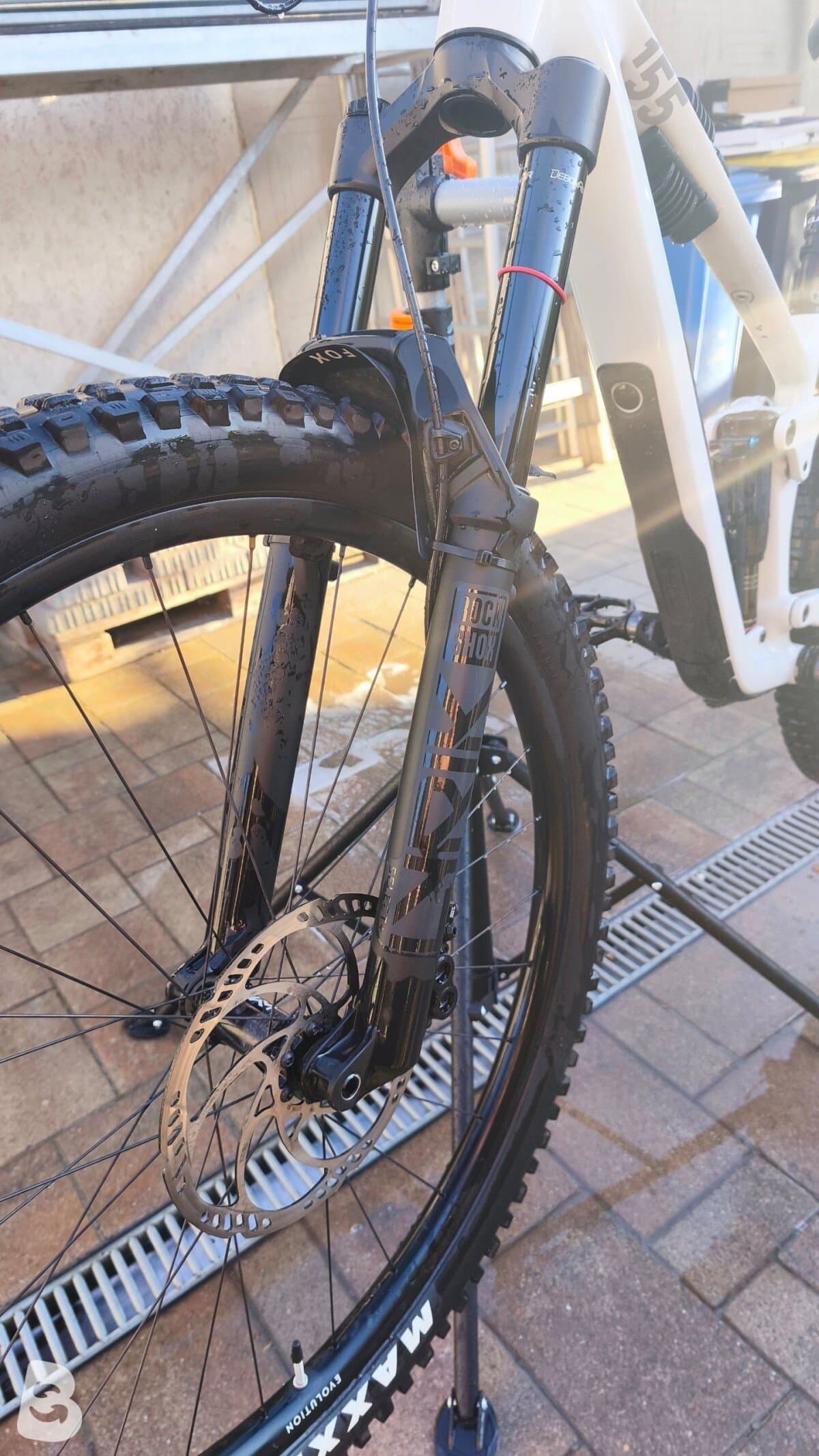 Cube STEREO ONE55 C:62, RACE 29 2023