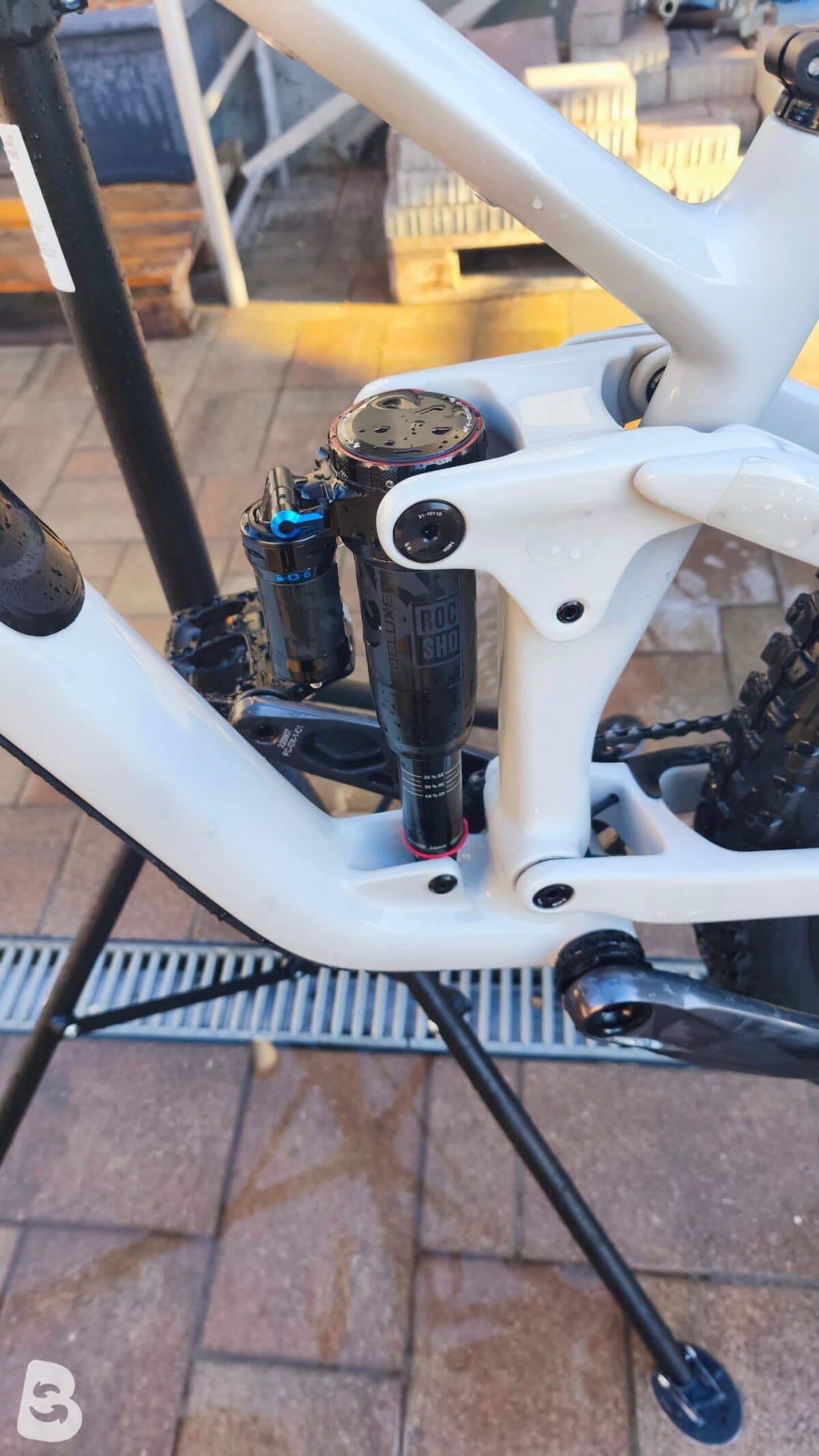 Cube STEREO ONE55 C:62, RACE 29 2023