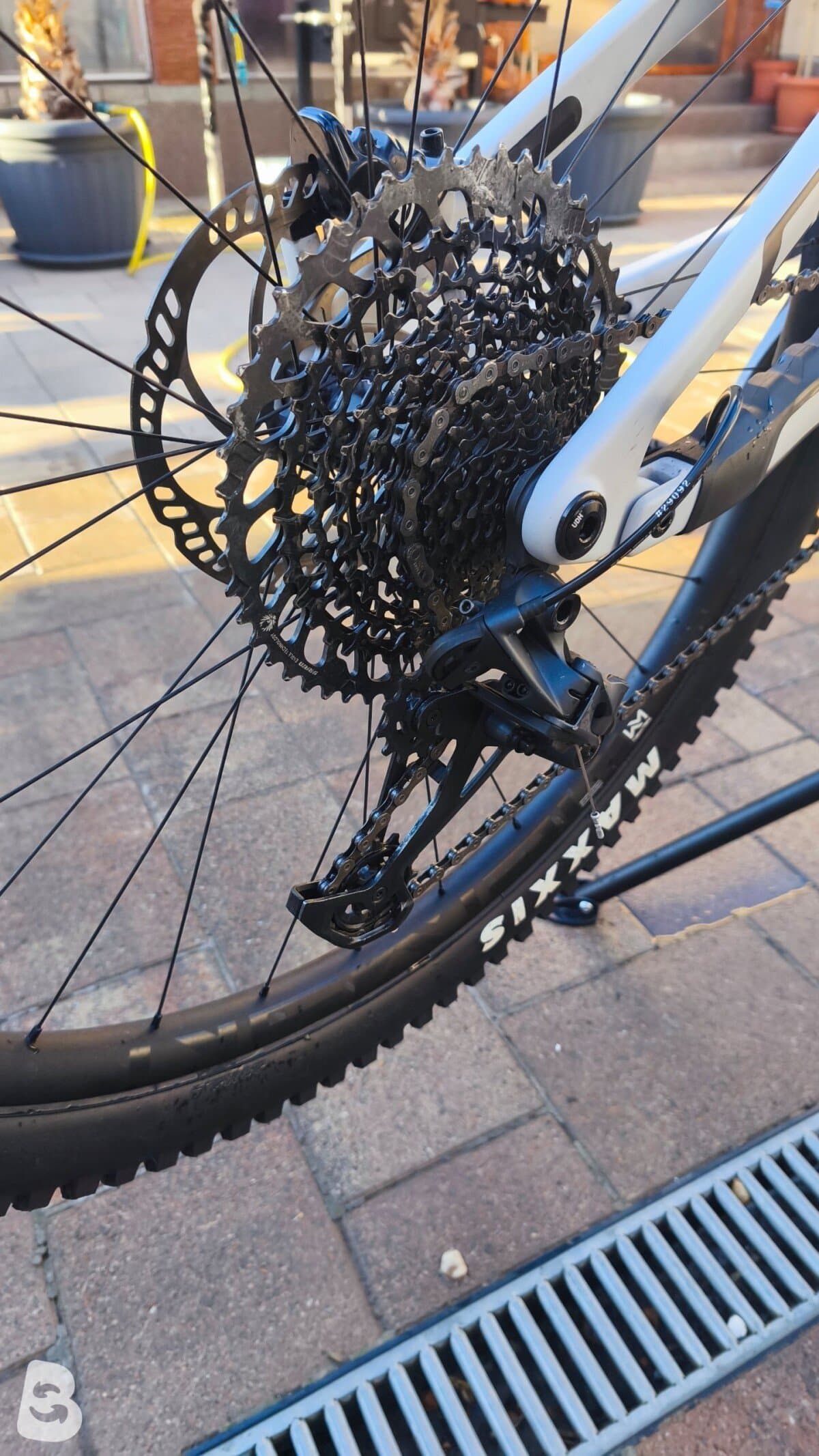 Cube STEREO ONE55 C:62, RACE 29 2023