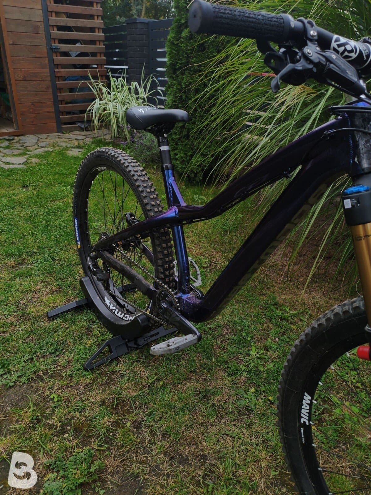 Dartmoor Hornet Pro 2025