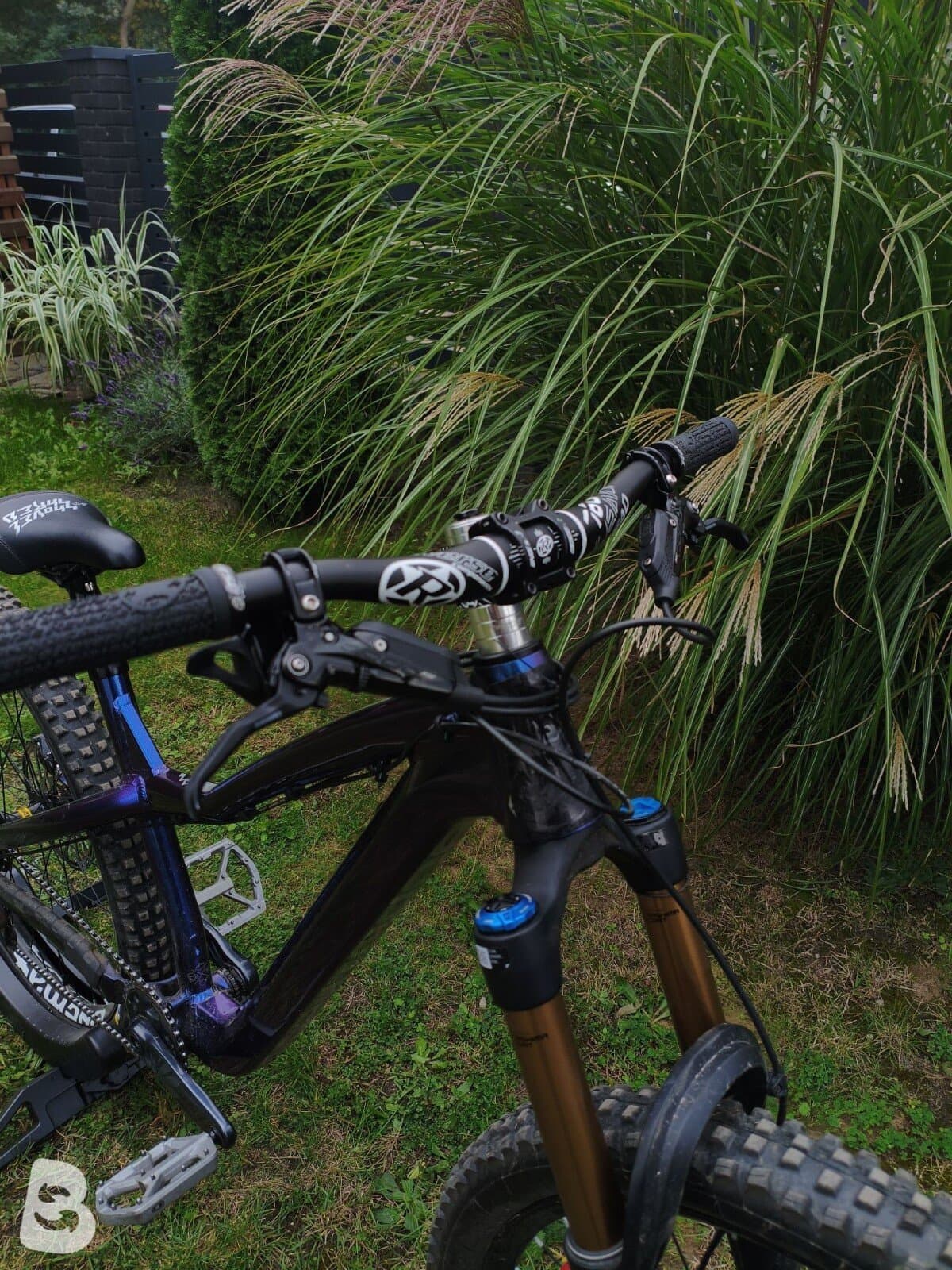 Dartmoor Hornet Pro 2025