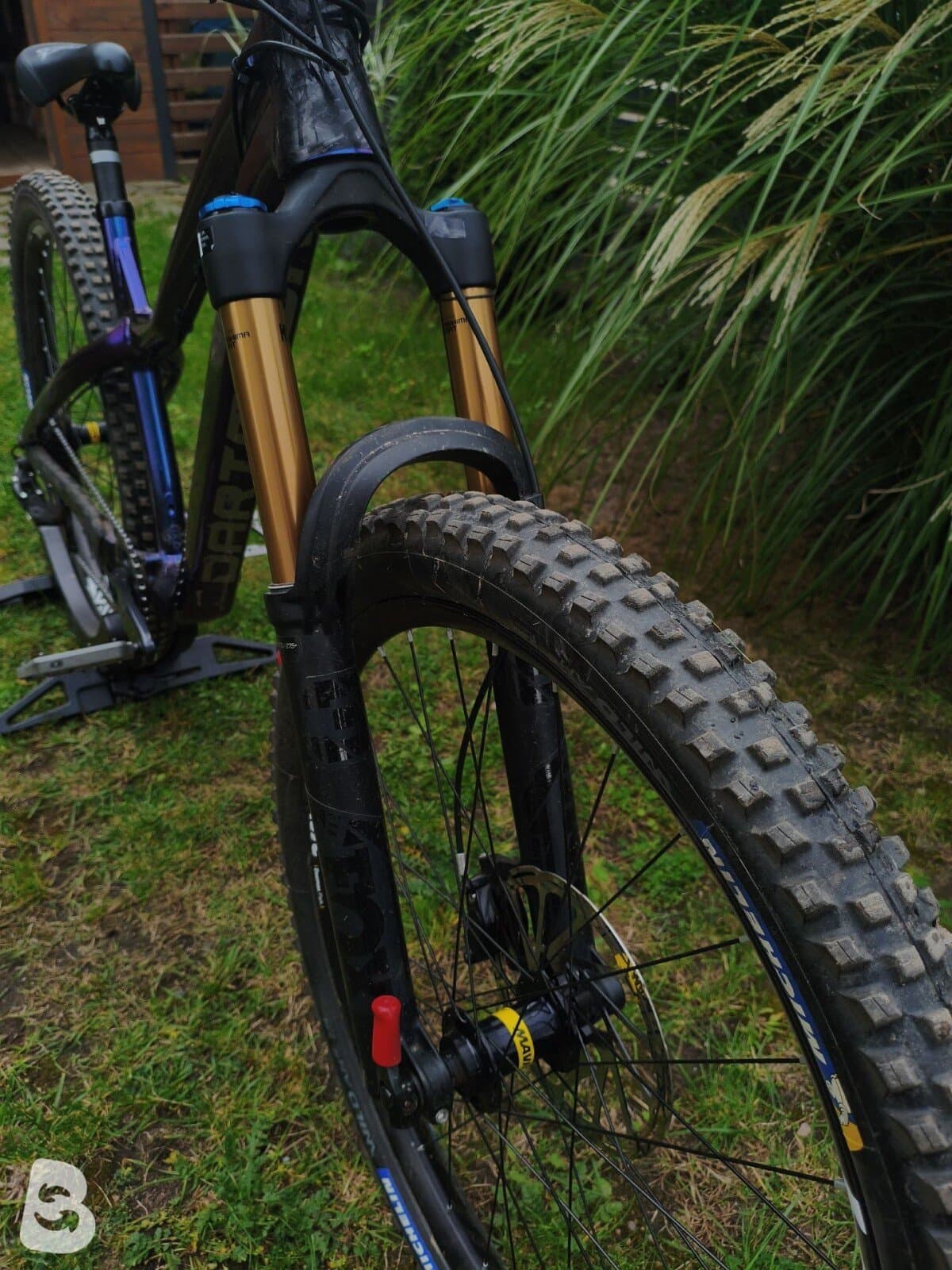 Dartmoor Hornet Pro 2025