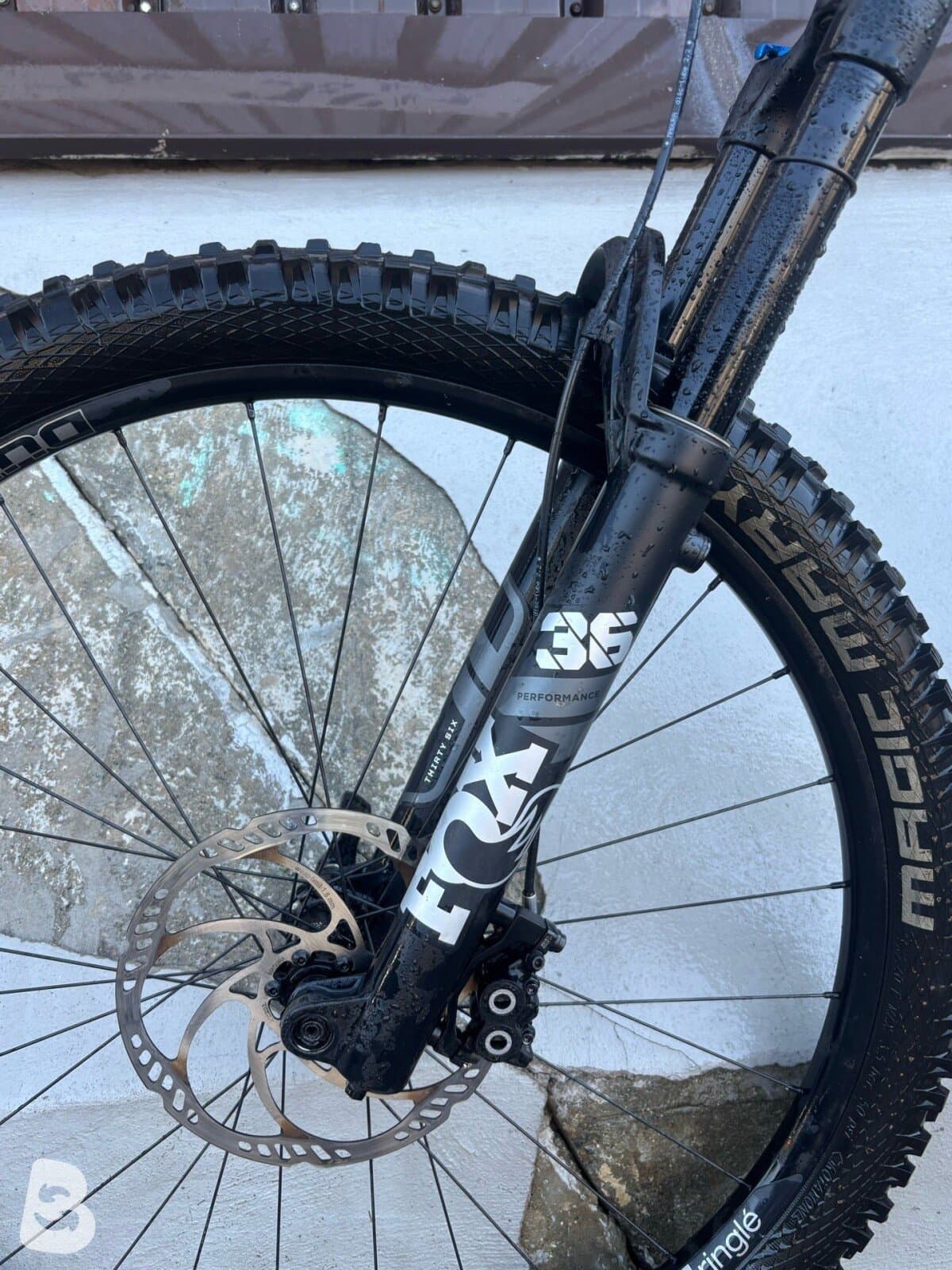 Radon Skeen Trail 8.0 2019