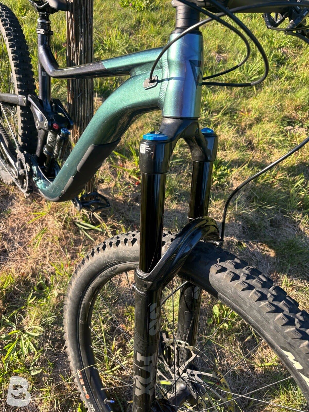 Giant Reign 1 2023