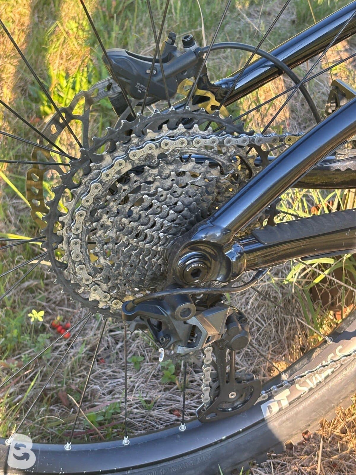 Giant Reign 1 2023