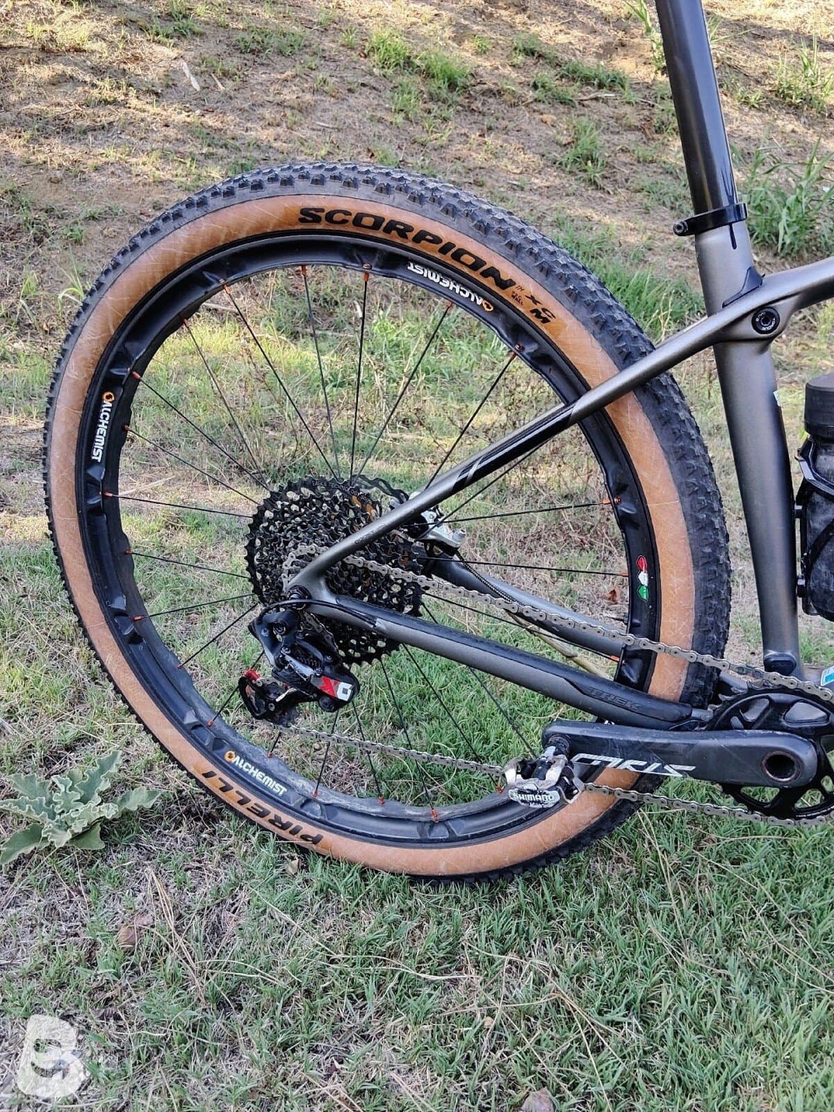 Trek Procaliber SL 9.8 2019