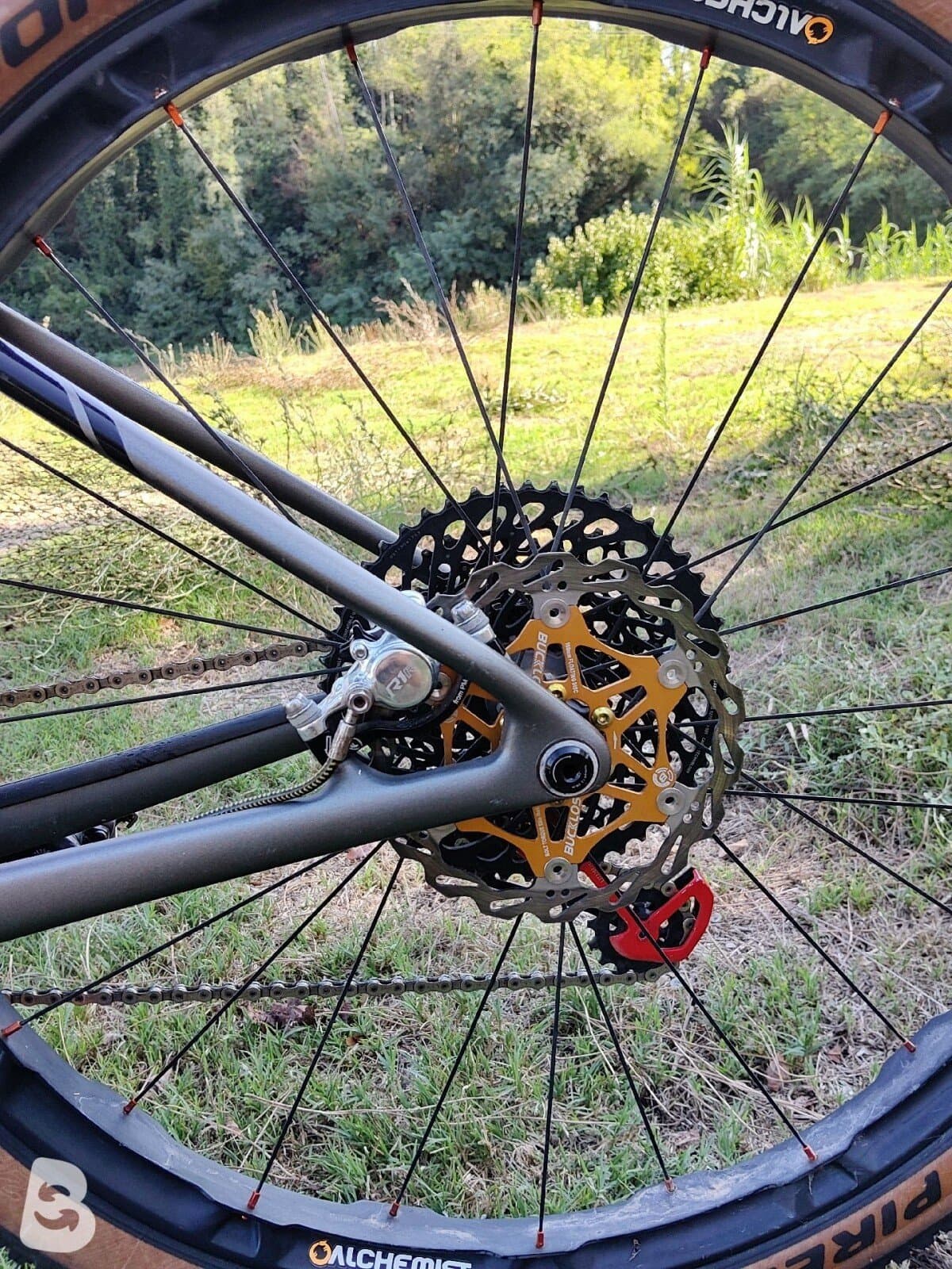 Trek Procaliber SL 9.8 2019