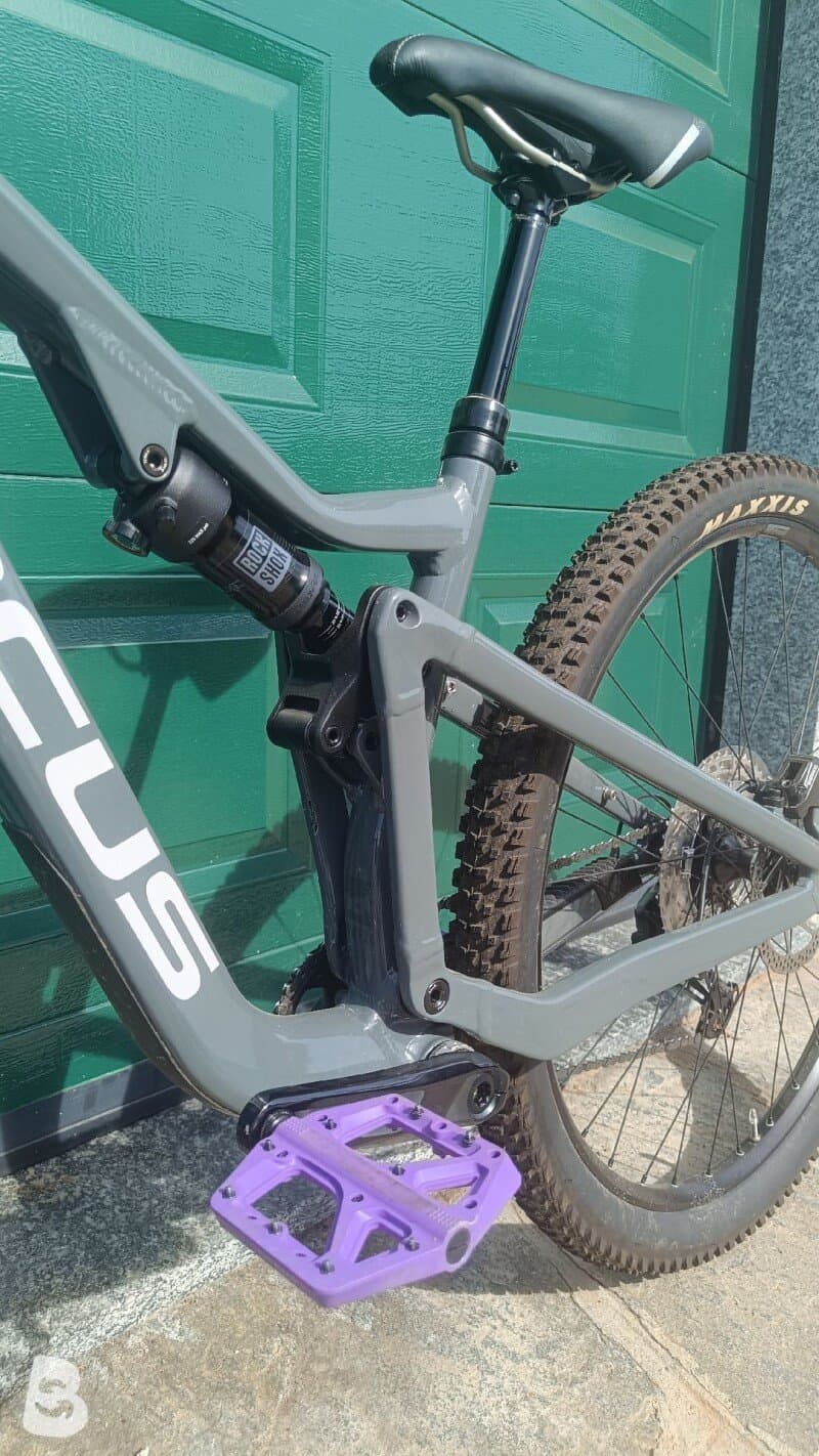 Focus Thron 6.8 2023