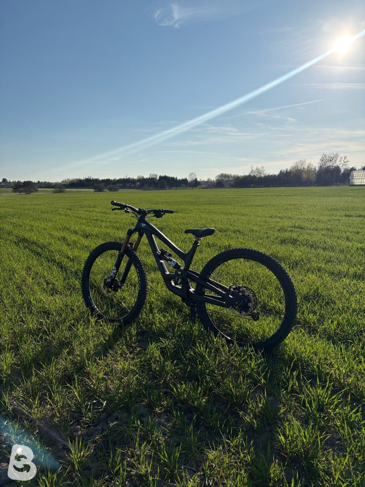 YT Industries Capra CF Pro Race 2019