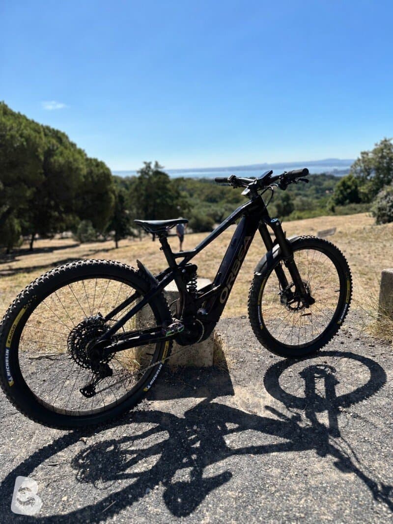 Orbea WILD FS M20 with 2 batteries (625w + 500w) and unlocked 2023